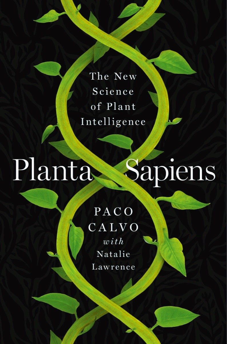 Paco Book.jpg