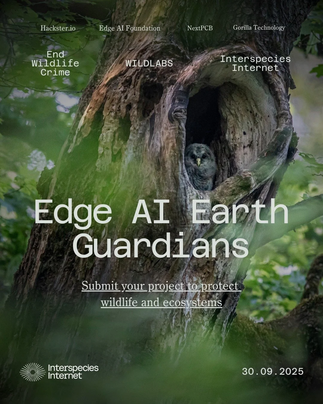 🚨 Deadline Approaching! 🚨
The Edge AI Earth Guardians Challenge closes Sept 30!

This global competition invites engineers, makers, and technologists to design smart, low-power, edge-deployable AI that runs directly on devices in the field. These &