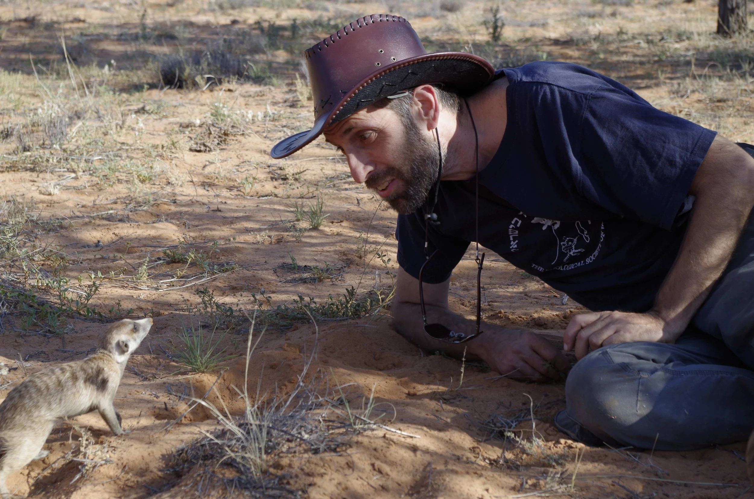 Why animals talk…