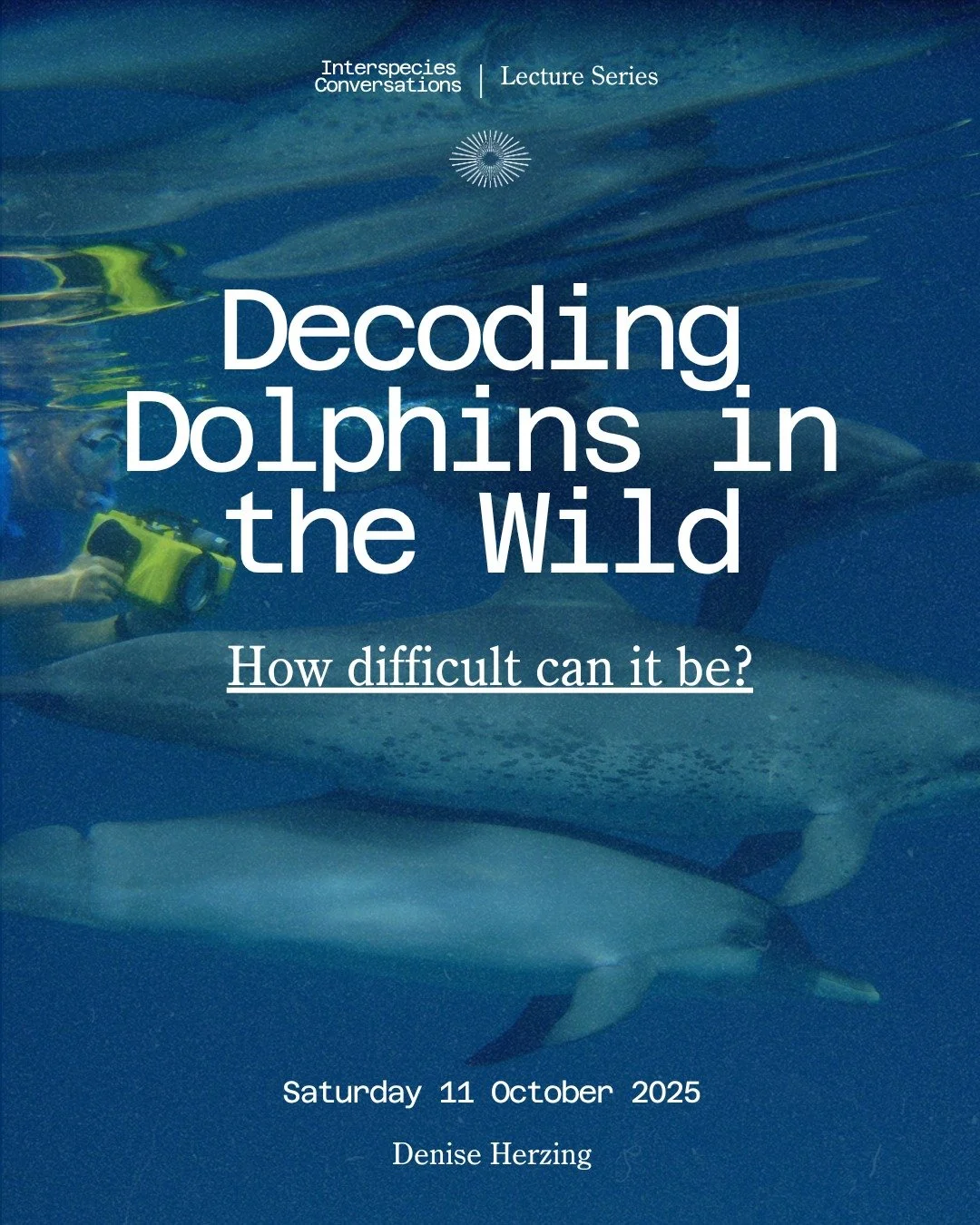 🐬 New Lecture! &ldquo;Decoding Dolphins in the Wild. How difficult can it be?&rdquo;

Dolphins have one of the most complex acoustic communication systems in the animal world. Now, new AI tools are helping us explore their vocal patterns and even pr