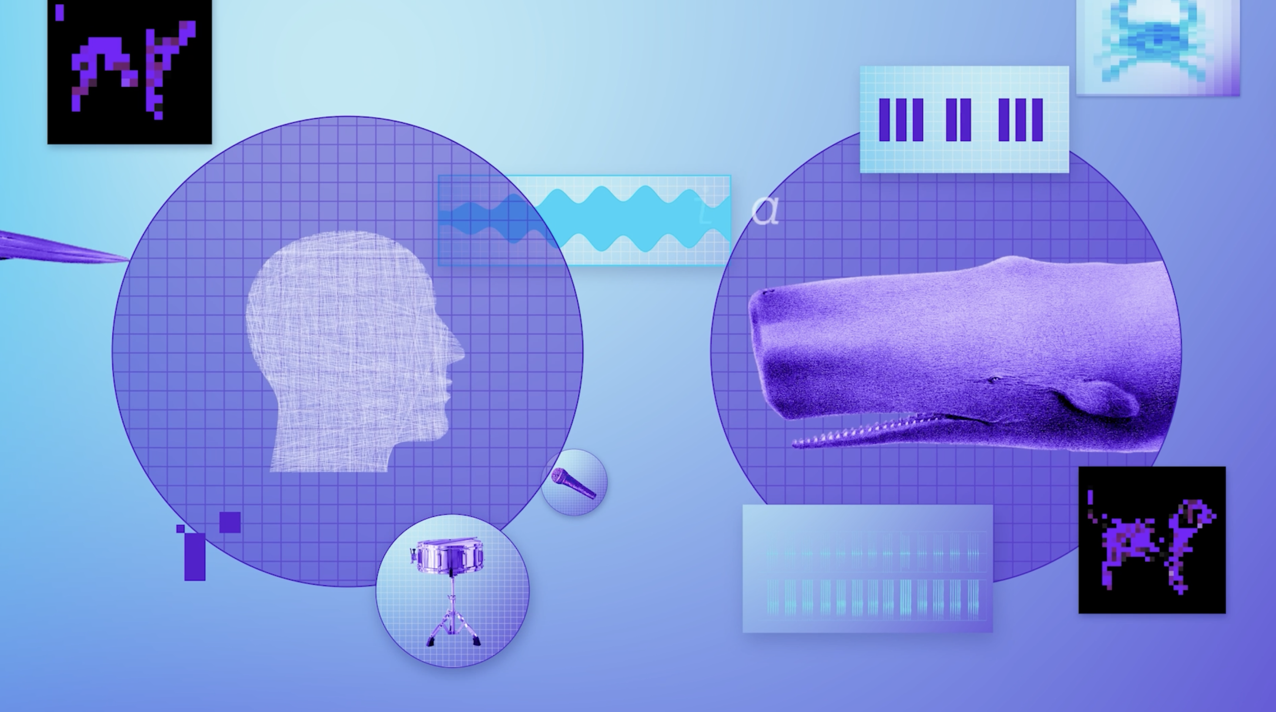 Upcoming! WhAM: the Whale Acoustics Model with Orr Paradise