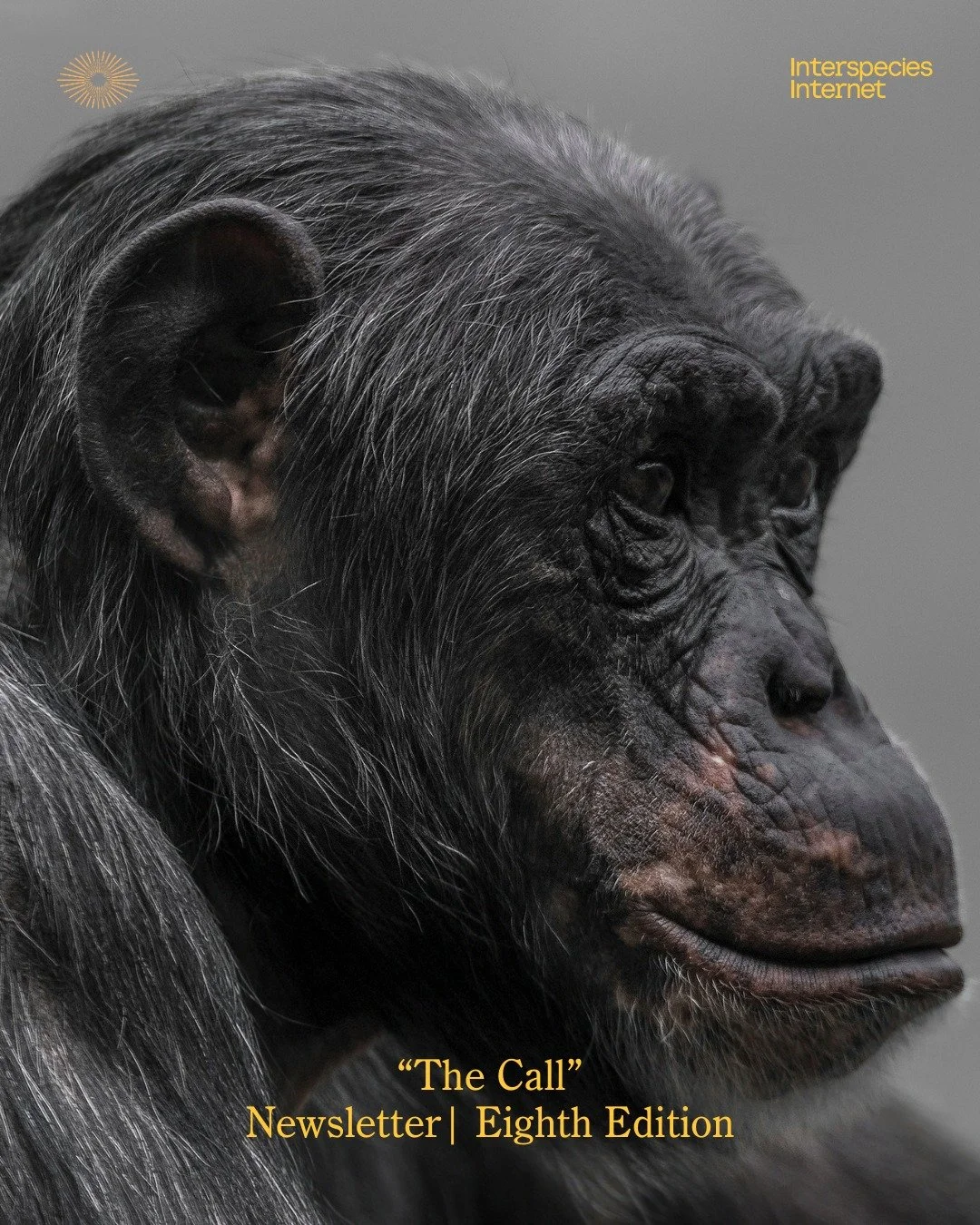 📣 Listen up &mdash; the field is calling.

Our newsletter shares exciting news, discoveries, and emerging conversations from the world of animal communication and beyond.

Explore this post for a selection of topics featured in our March edition.

I