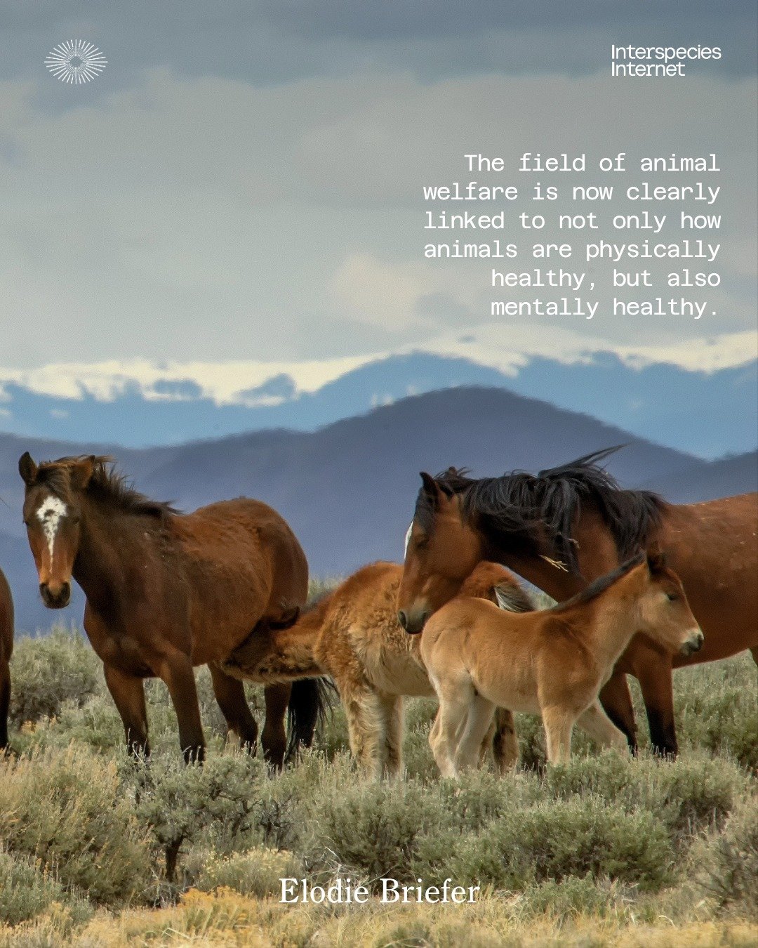 🔊 Throwback to "Can Different Species Understand Each Other's Emotions?&rdquo; with Dr. Elodie Briefer

📚 In this lecture, Elodie Briefer shares results from a large comparative study examining emotional vocalisations in domestic animals (hors