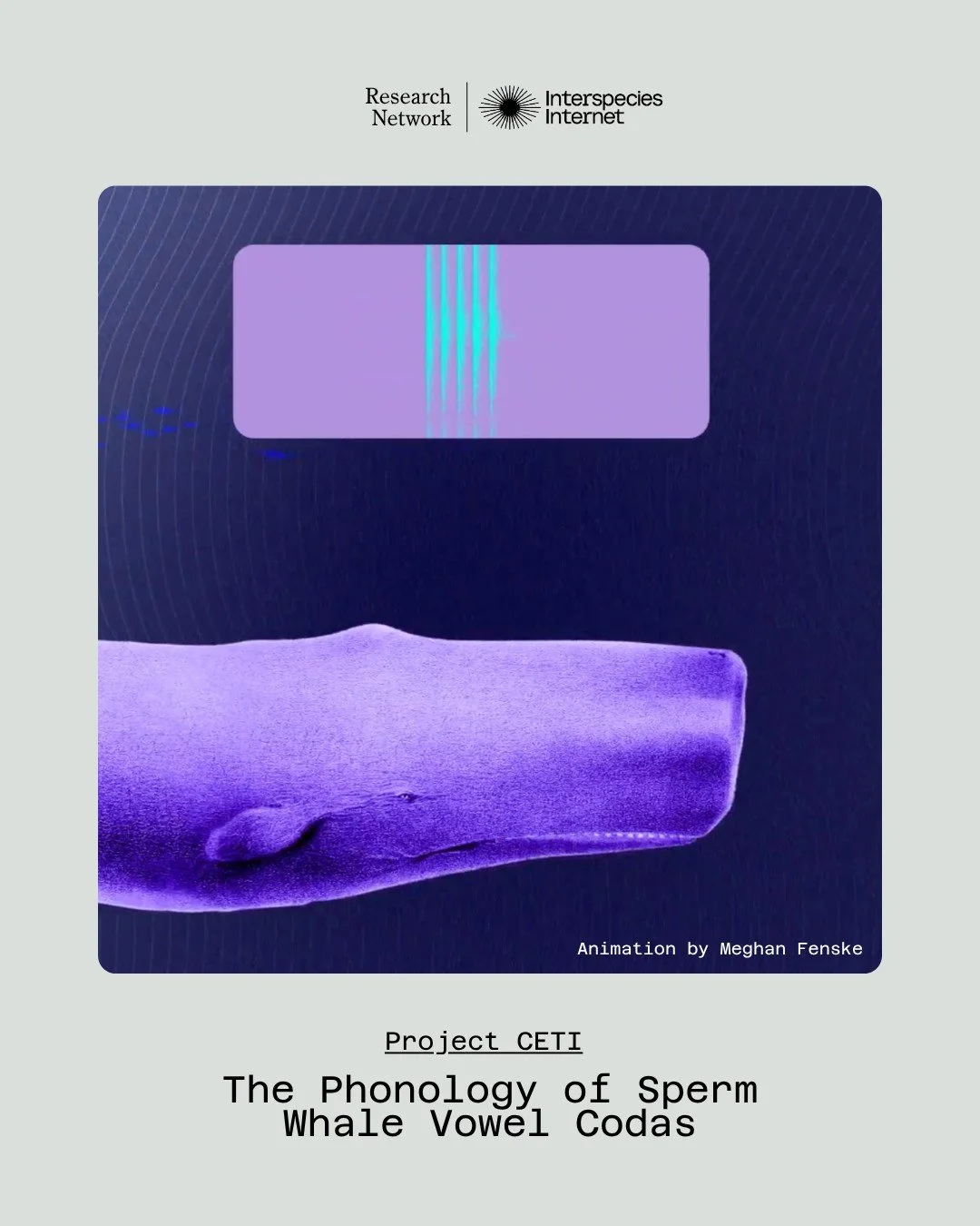 ⭐️ Today, we are spotlighting our friends at @projectceti &mdash;a leading organization applying machine learning and robotics to understand sperm whale communication.

In their latest publication, &ldquo;The phonology of sperm whale coda vowels,&rdq