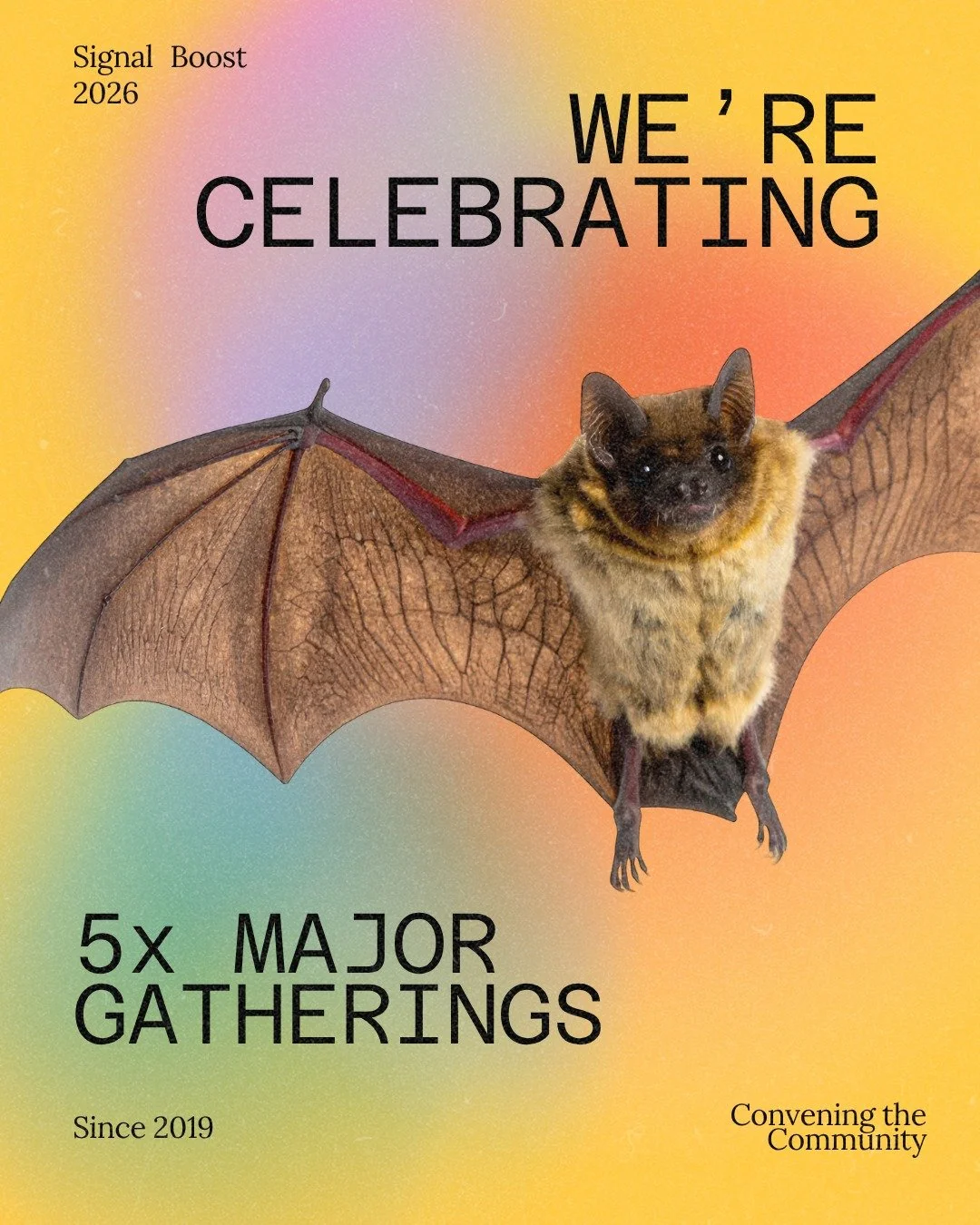 ✨ Since 2019, we have convened five conferences and workshops.

From early gatherings exploring how to build an interspecies internet, to collaborative workshops imagining the criteria needed to decode animal communication, these convenings have:
&bu