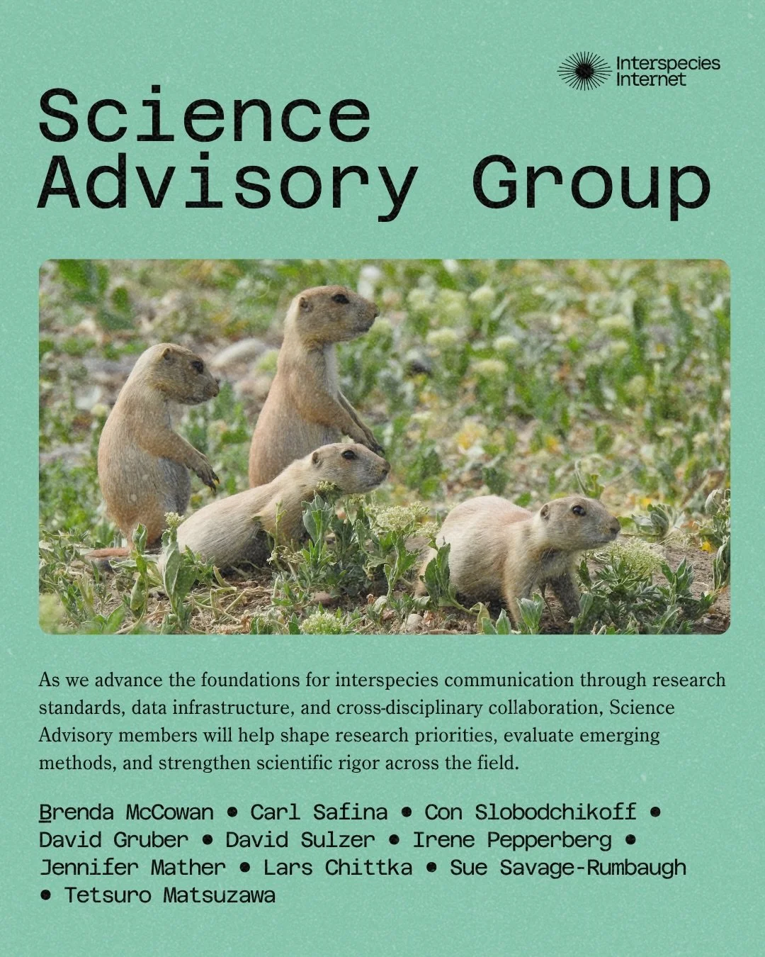 📣 Introducing our Science Advisory Group!

In 2026, we are advancing the scientific and technical foundations of interspecies communication, respecting the rigor and rich history of this emerging field. 🕹️🦍

Our Science Advisory Group supports thi