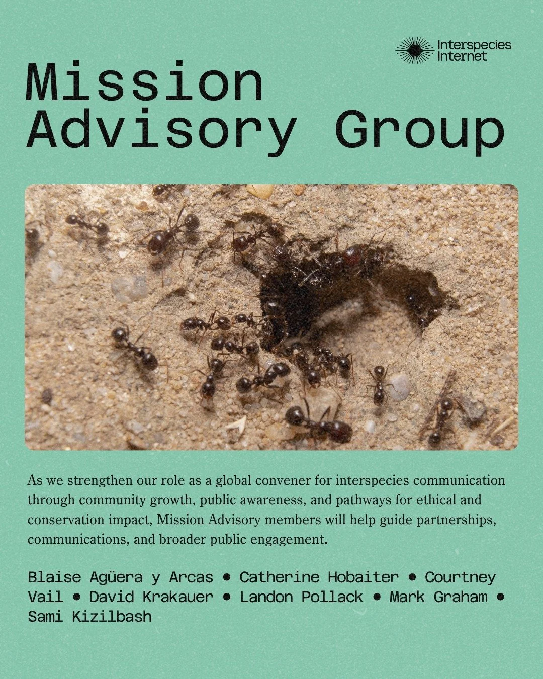 📣 Introducing our Mission Advisory Group!

In 2026, we are strengthening our role as a leading convener in the emerging field of interspecies communication. Our Mission Advisory Group helps guide how this work translates into real-world impact. 🚀

