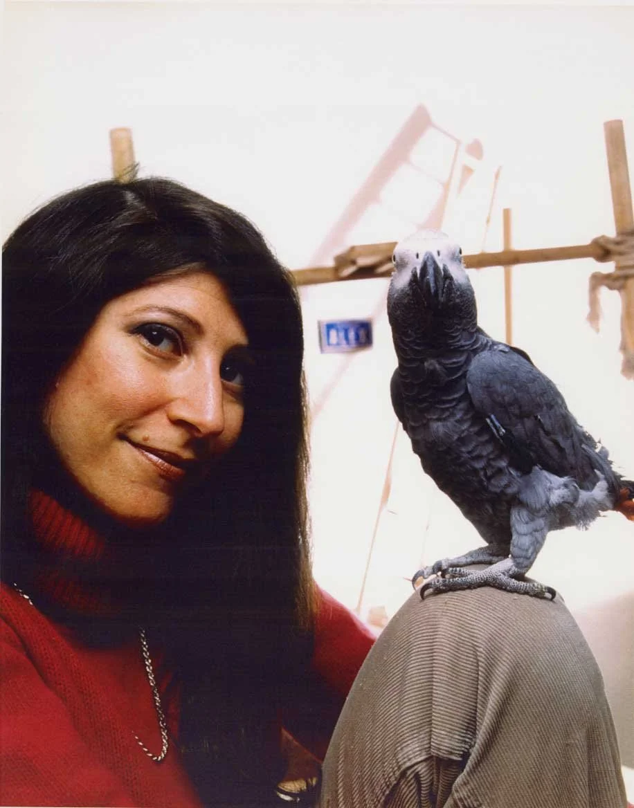 Effects of Symbolic Representation on Grey Parrot Cognition