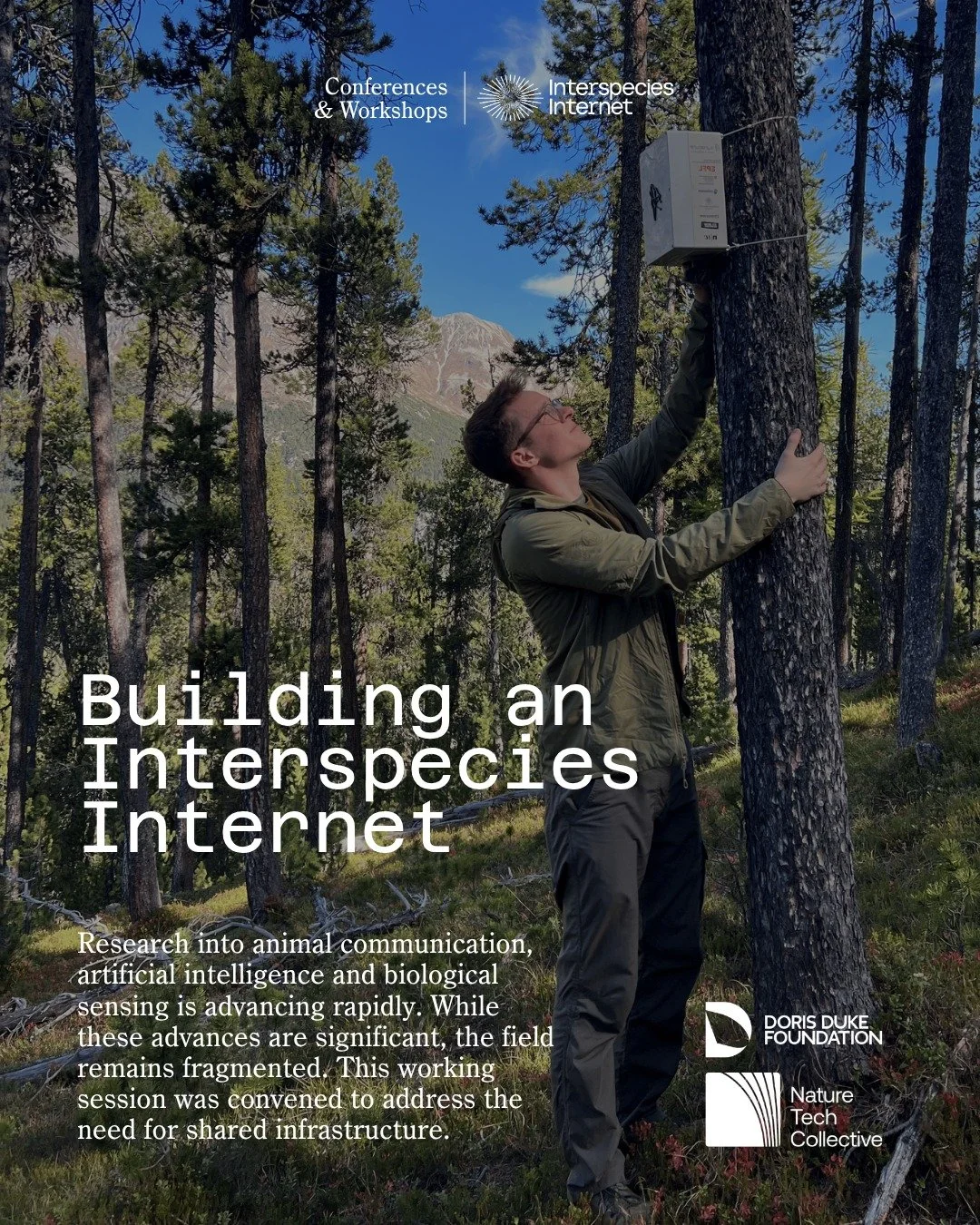 🌳 Interspecies Internet &amp; Nature Tech Collective are hosting a working session during NYC Climate Week.

The guiding question: how do we move interspecies communication research from isolated breakthroughs to shared infrastructure?

We're lookin