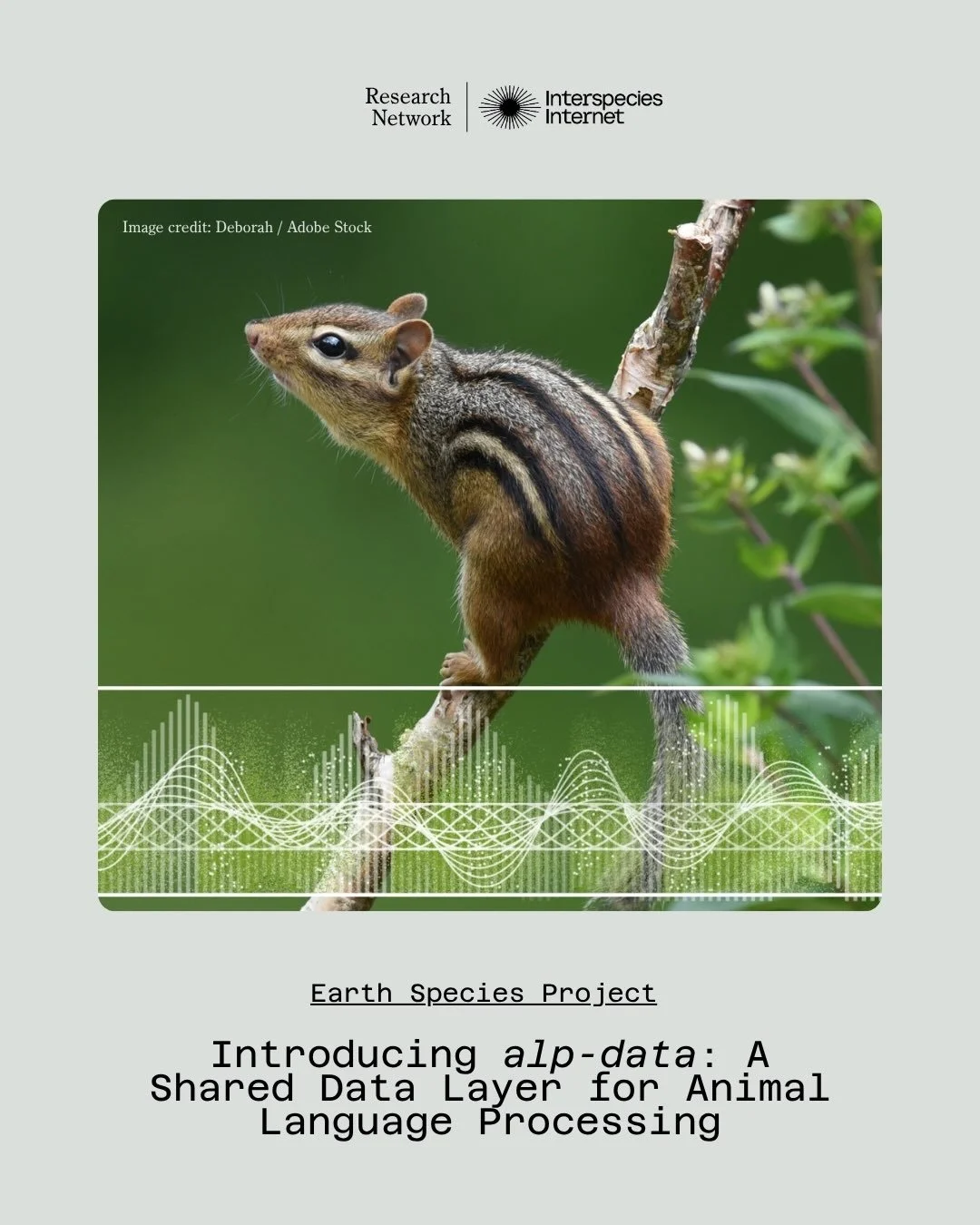 Buzzes, clicks, howls, chirps &mdash; all in one place. 🐝🐋🐦

Meet alp-data by Earth Species Project.

The new Python library provides a unified interface to 35+ bioacoustic datasets: animal sound recordings collected by researchers and citizen sci