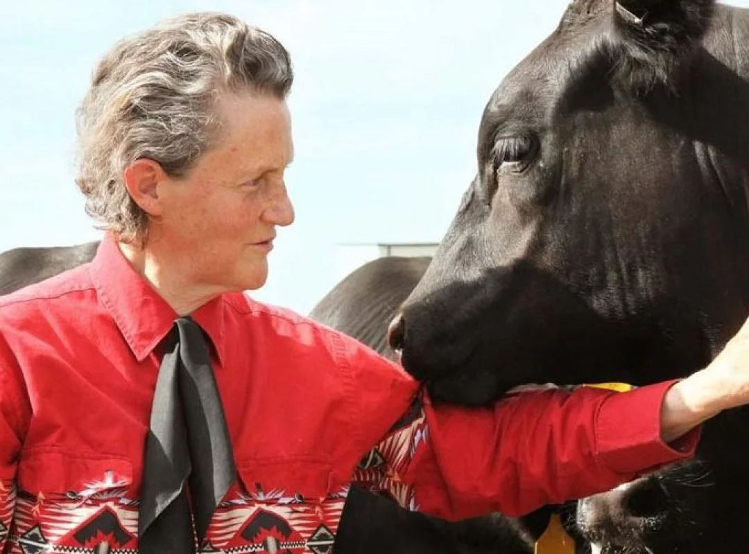 Temple-Grandin-by-Rosalie-Winard-q04twcqpskk105swf2m67gfk84rzr94bych74ekg8w.jpeg