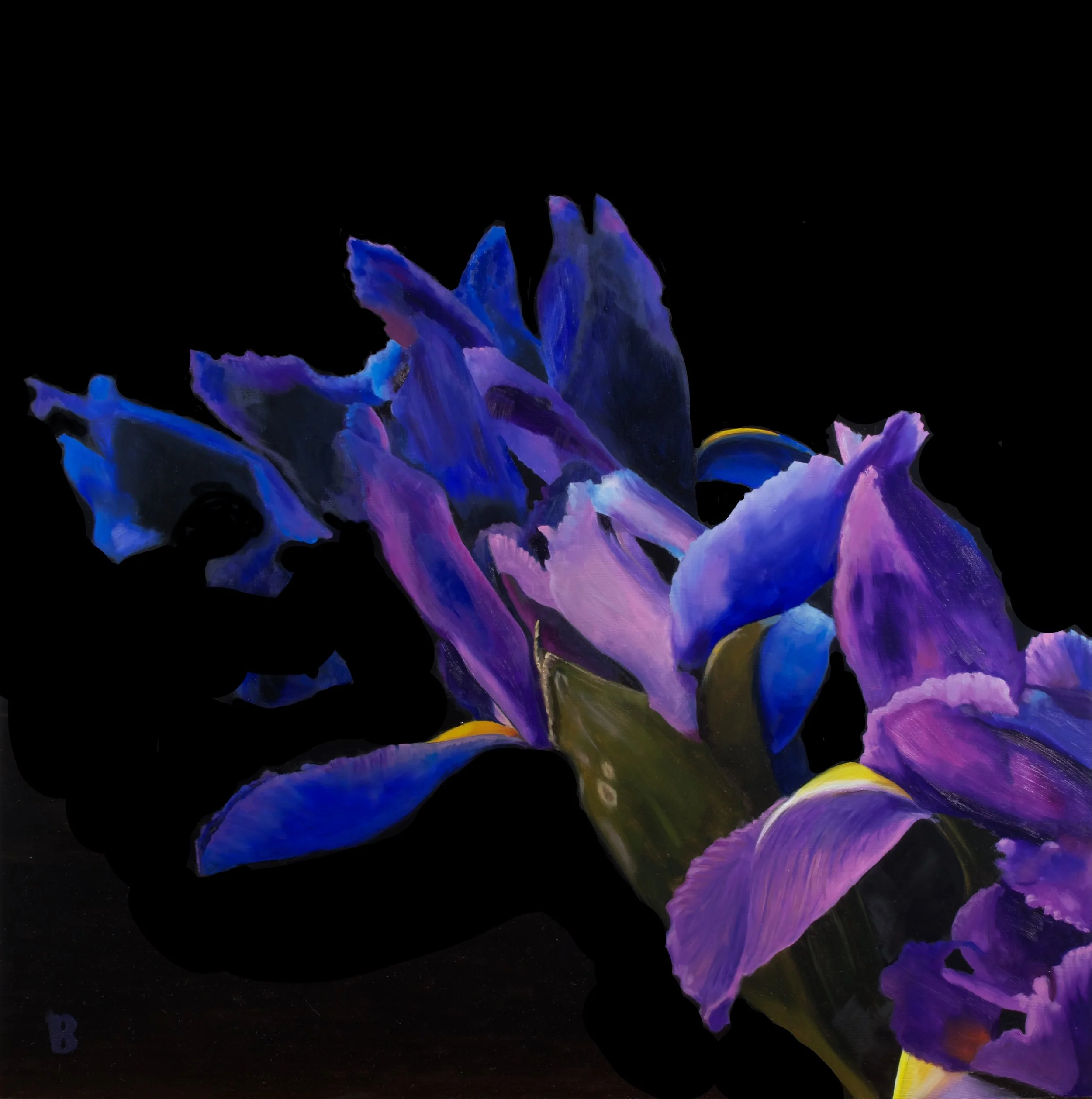 Irises II, 18 x 18, SOLD