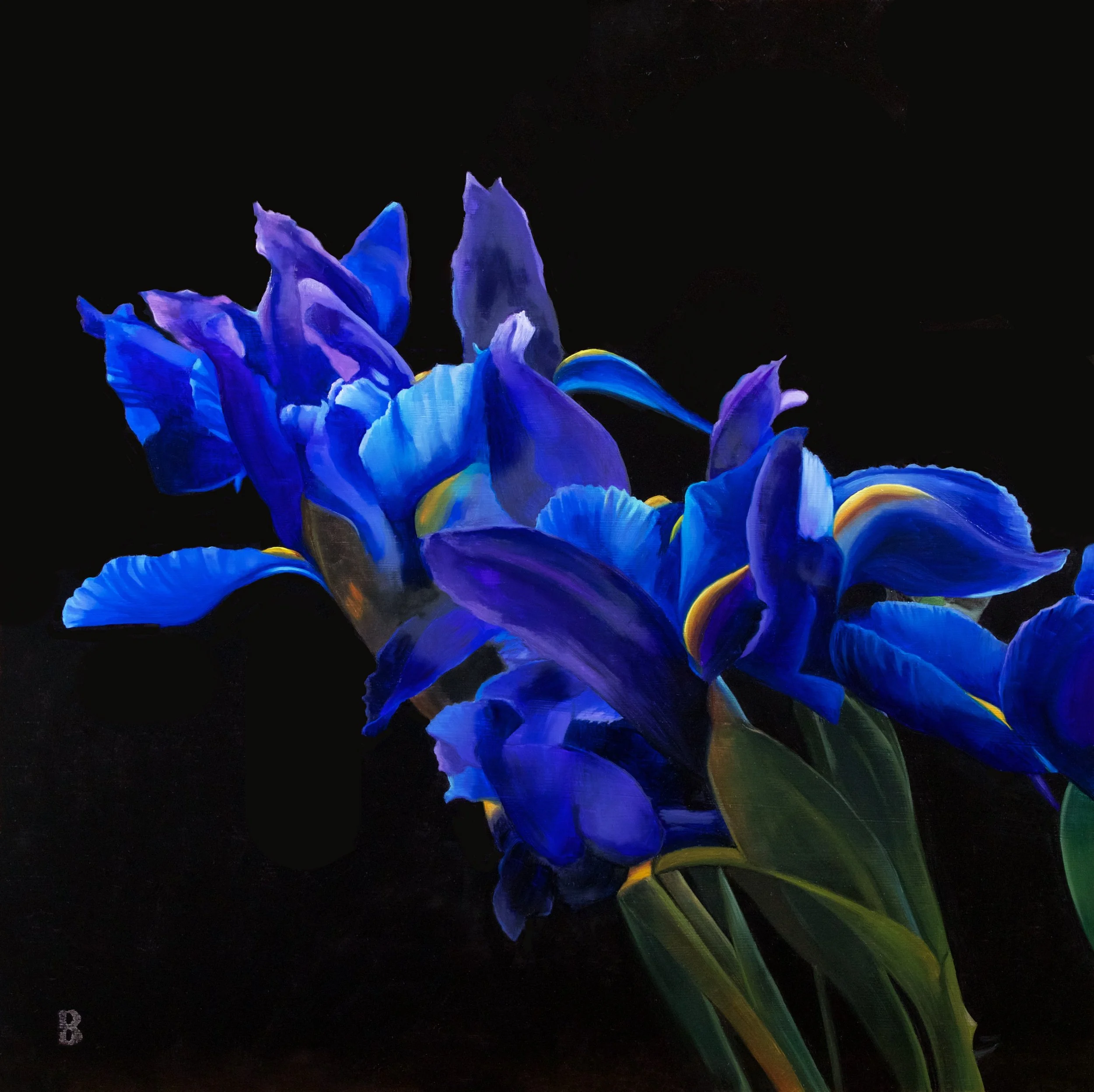 Irises, 18 x 18, SOLD