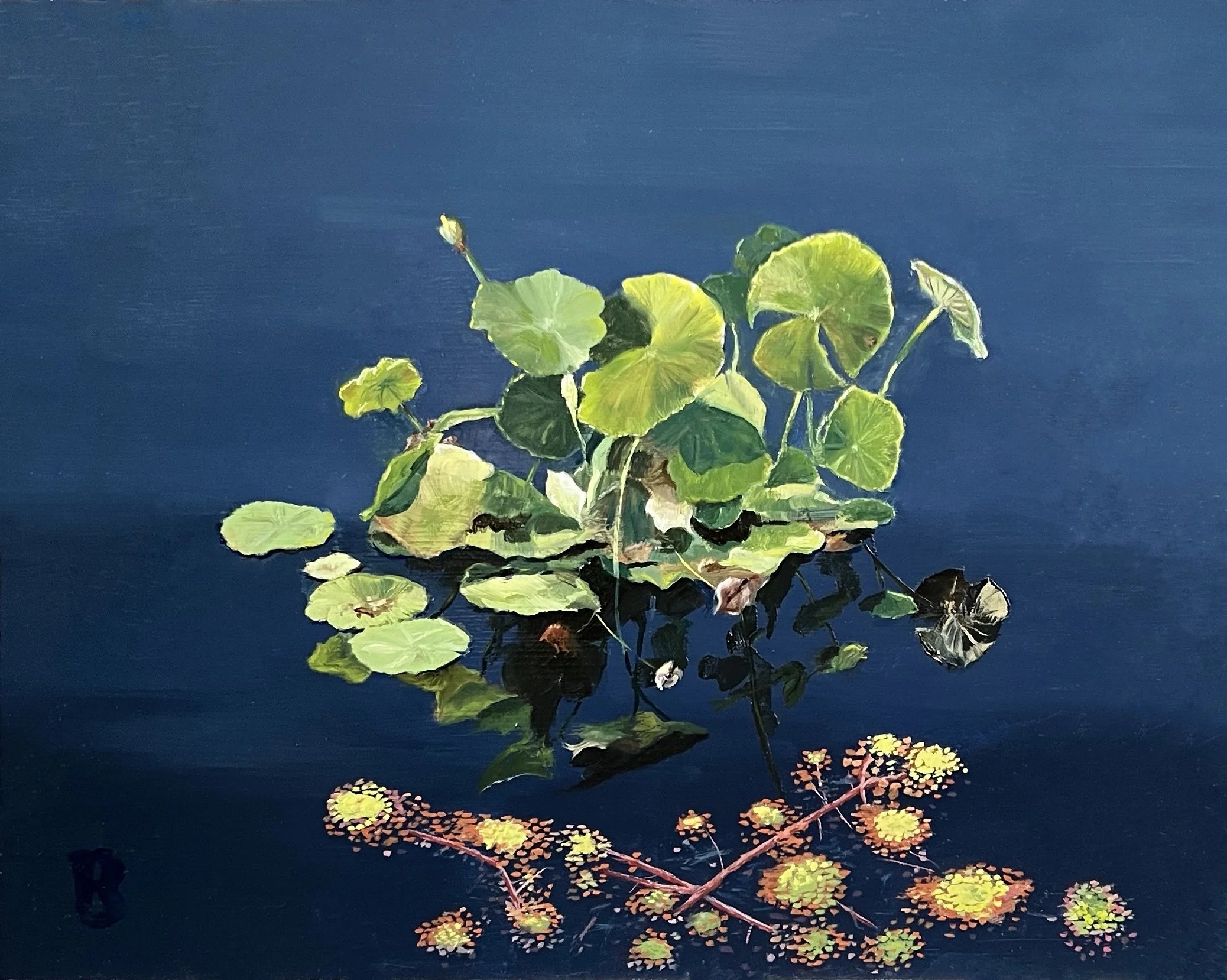 Lillies in a Garden Pond, 8 x 10, SOLD