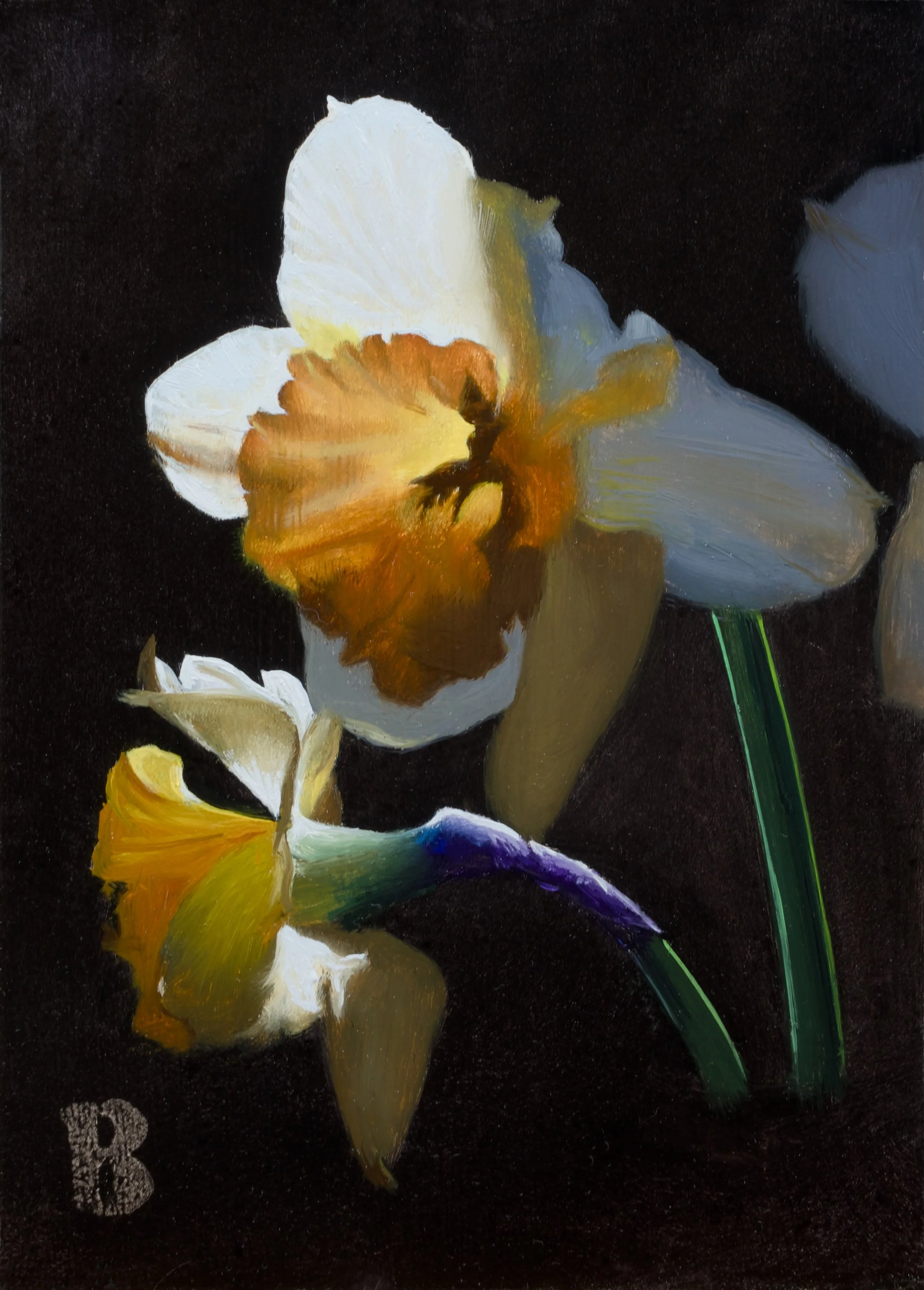 Herald II, 7 x 5, SOLD
