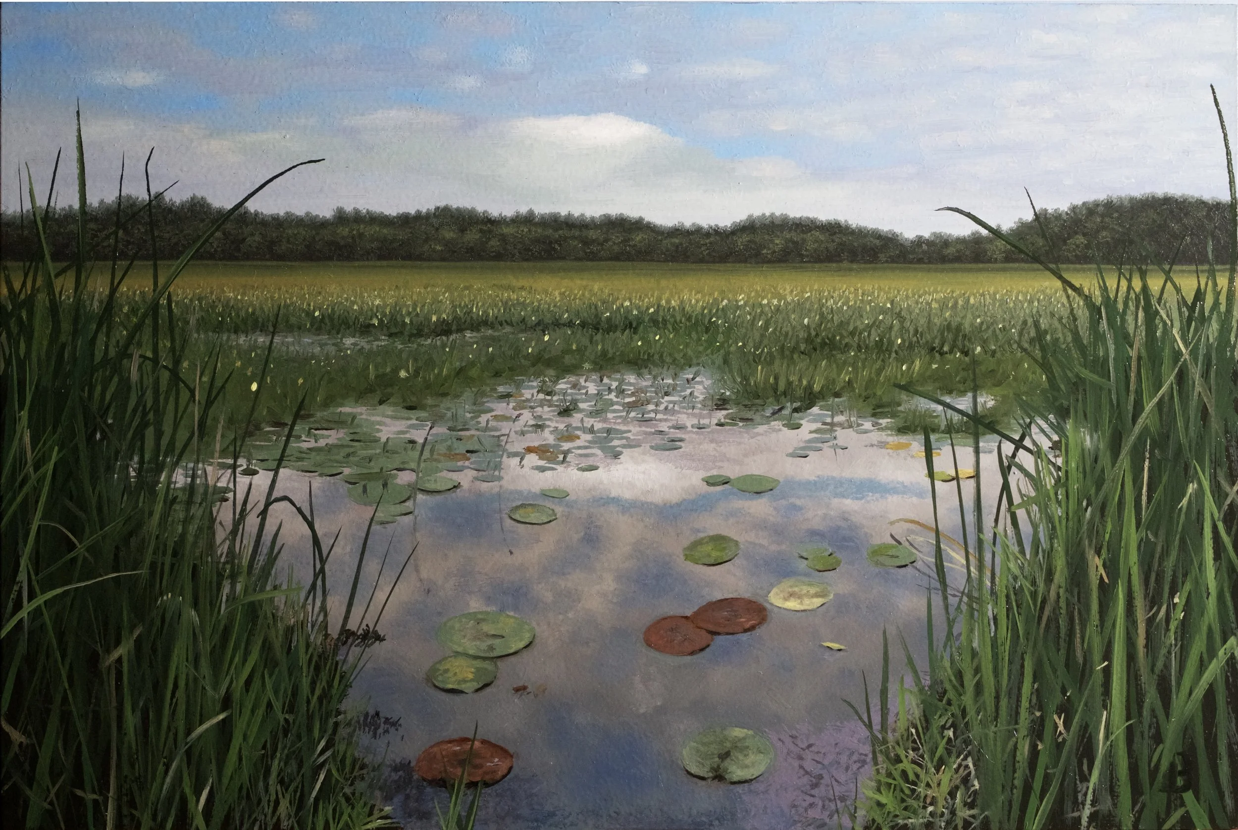 Great Meadows, 8 x 12, SOLD