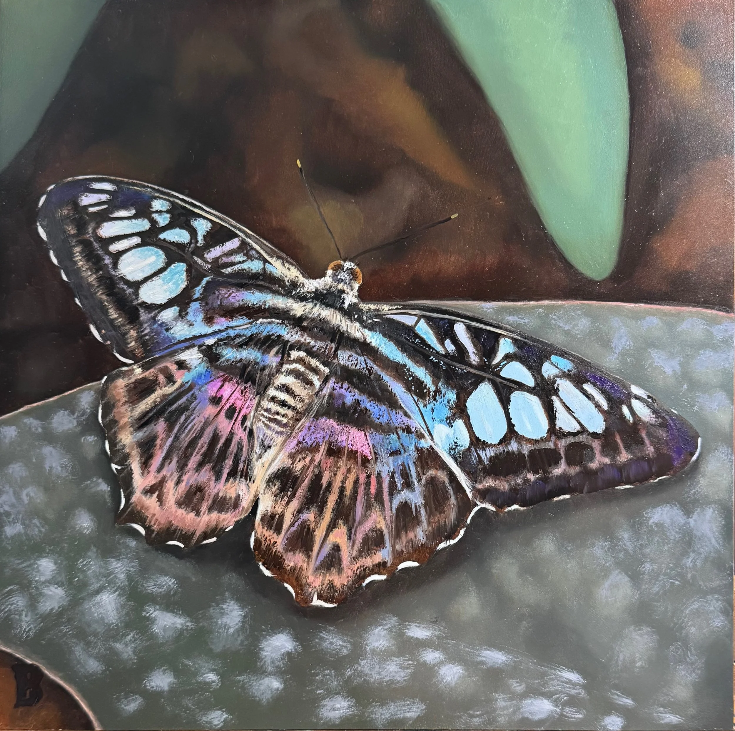 Blue Clipper, 12 x 12