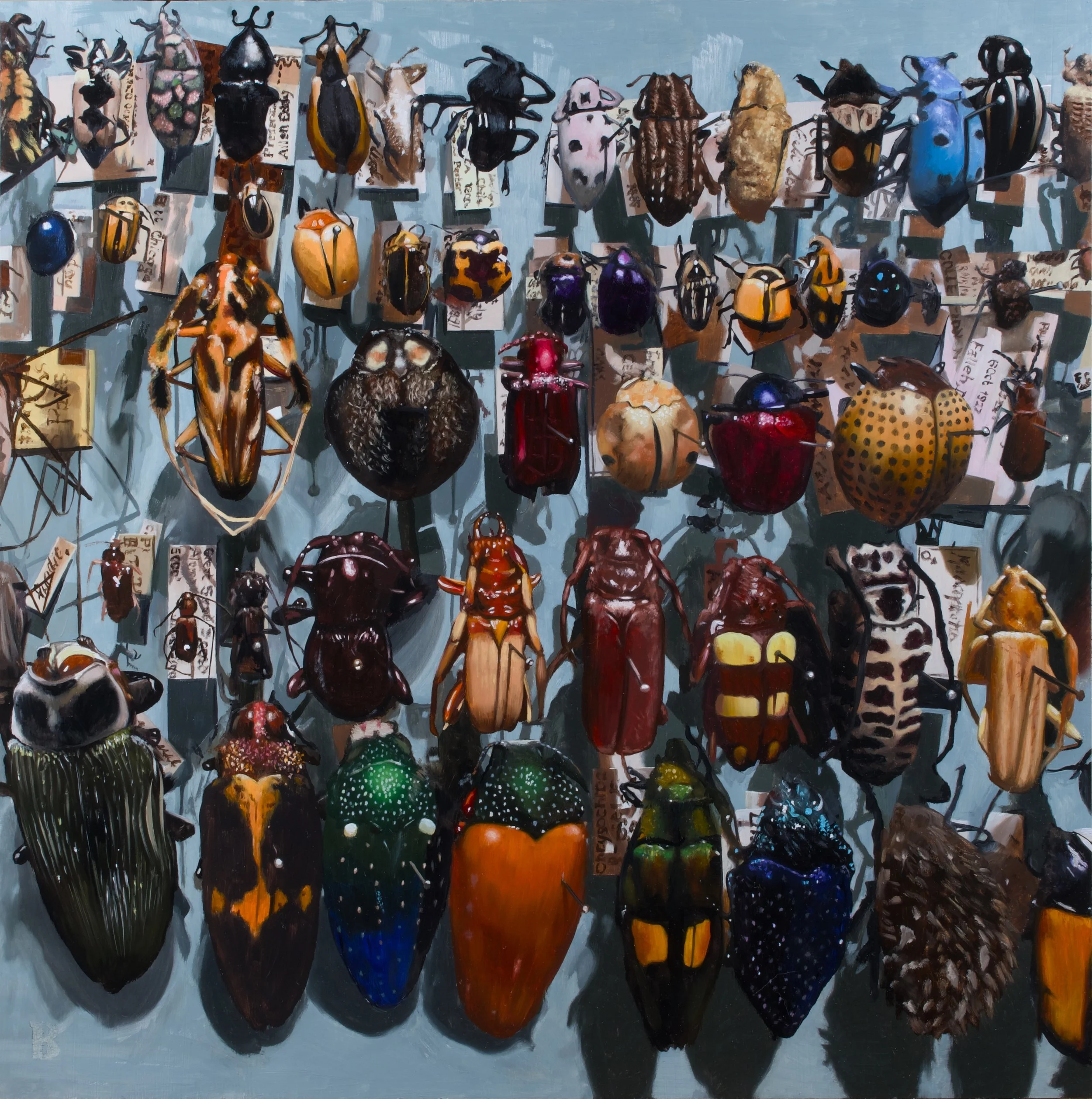 Coleoptera, 18 x 18, SOLD