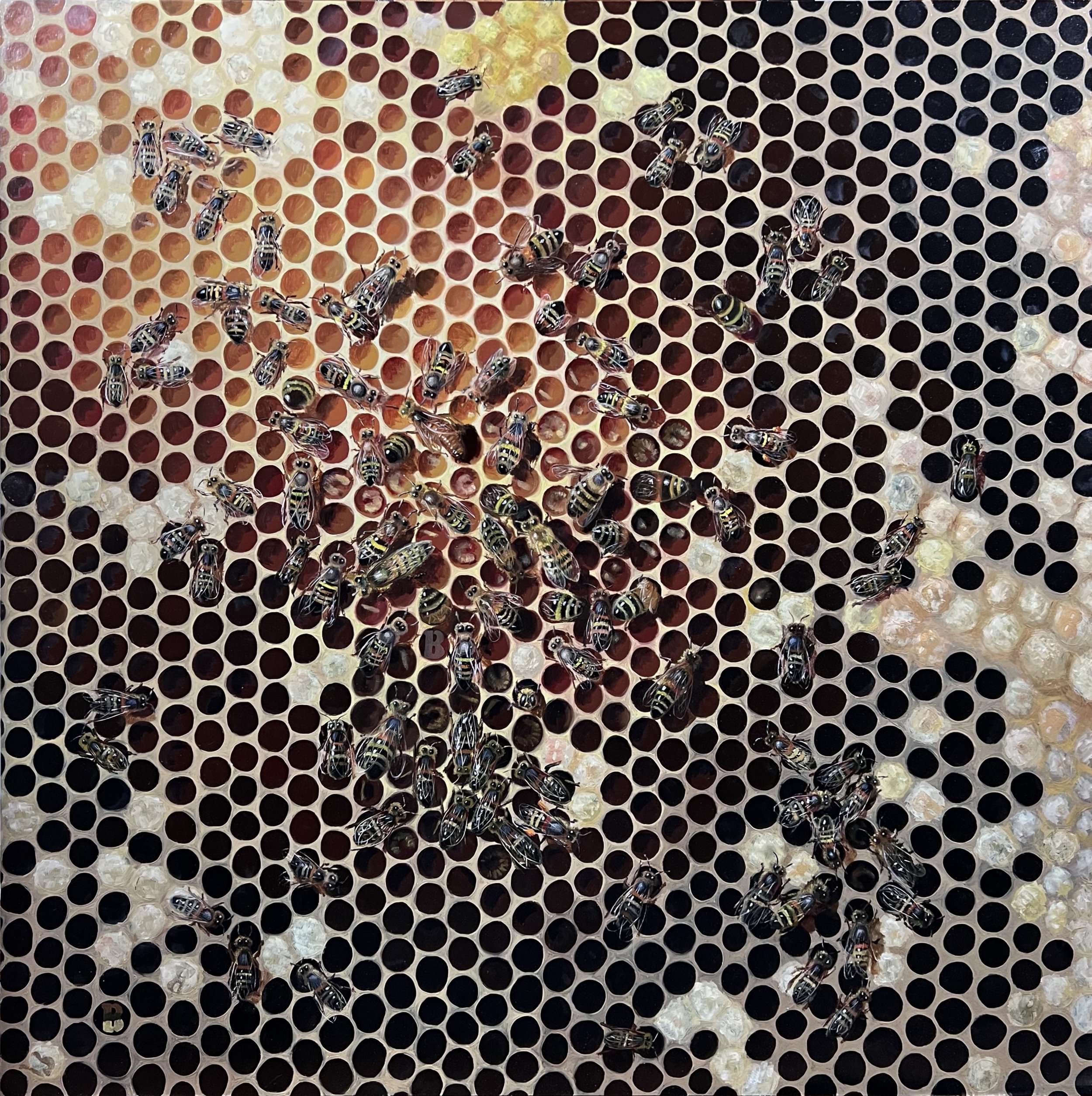 Bees, 24 x 24