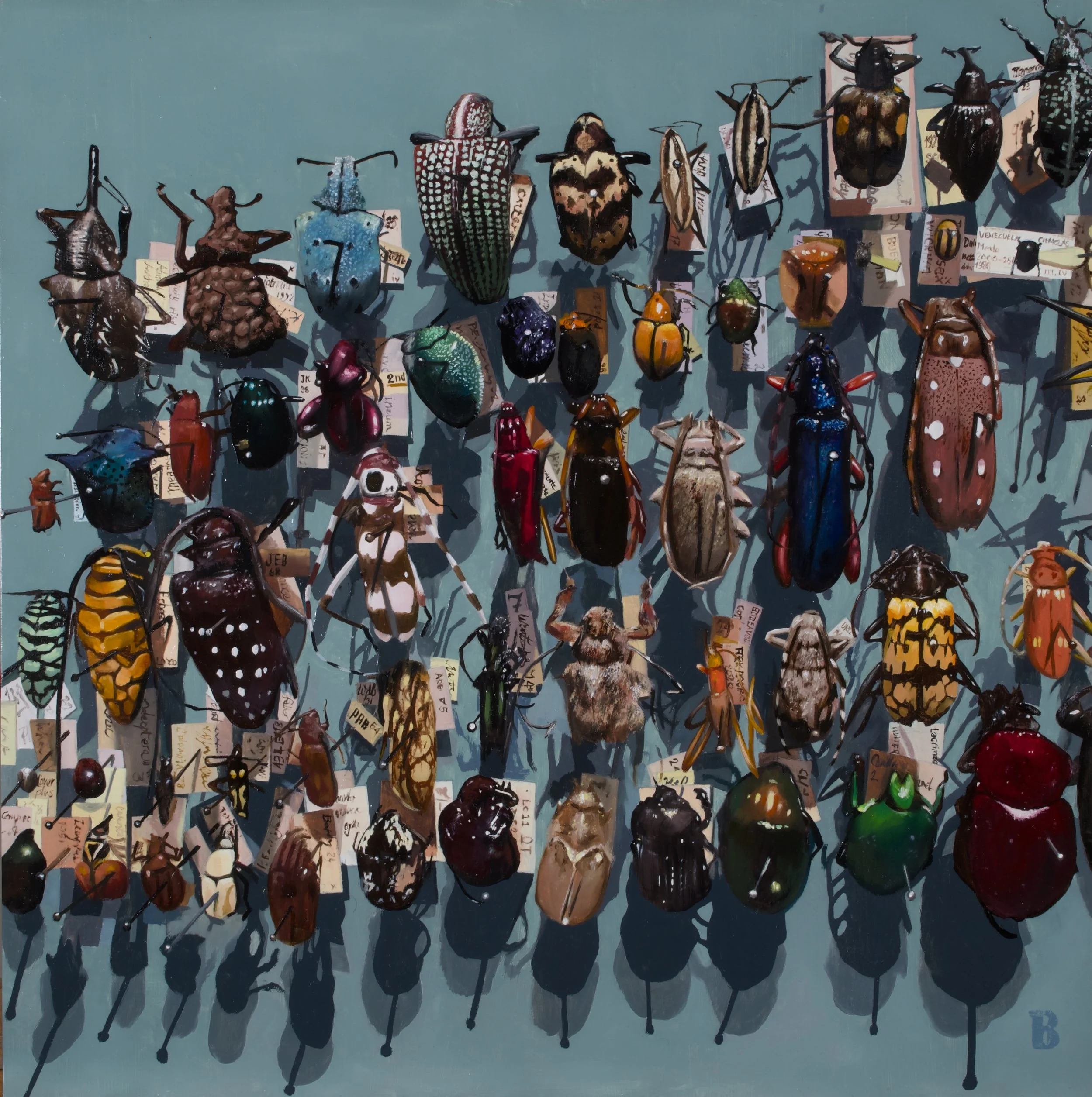 Coleoptera III, 18 x 18