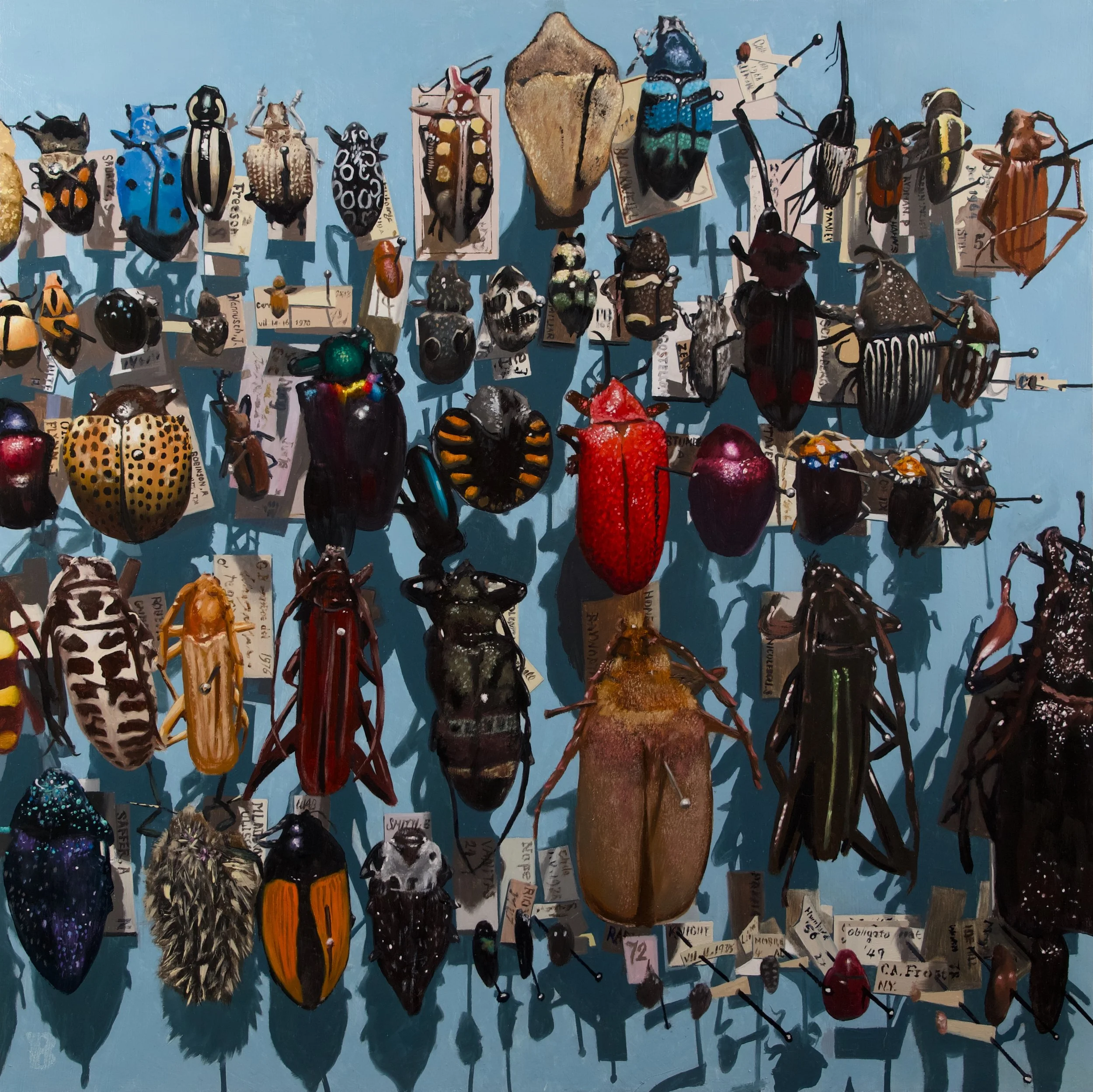 Coleoptera II, 18 x 18, SOLD