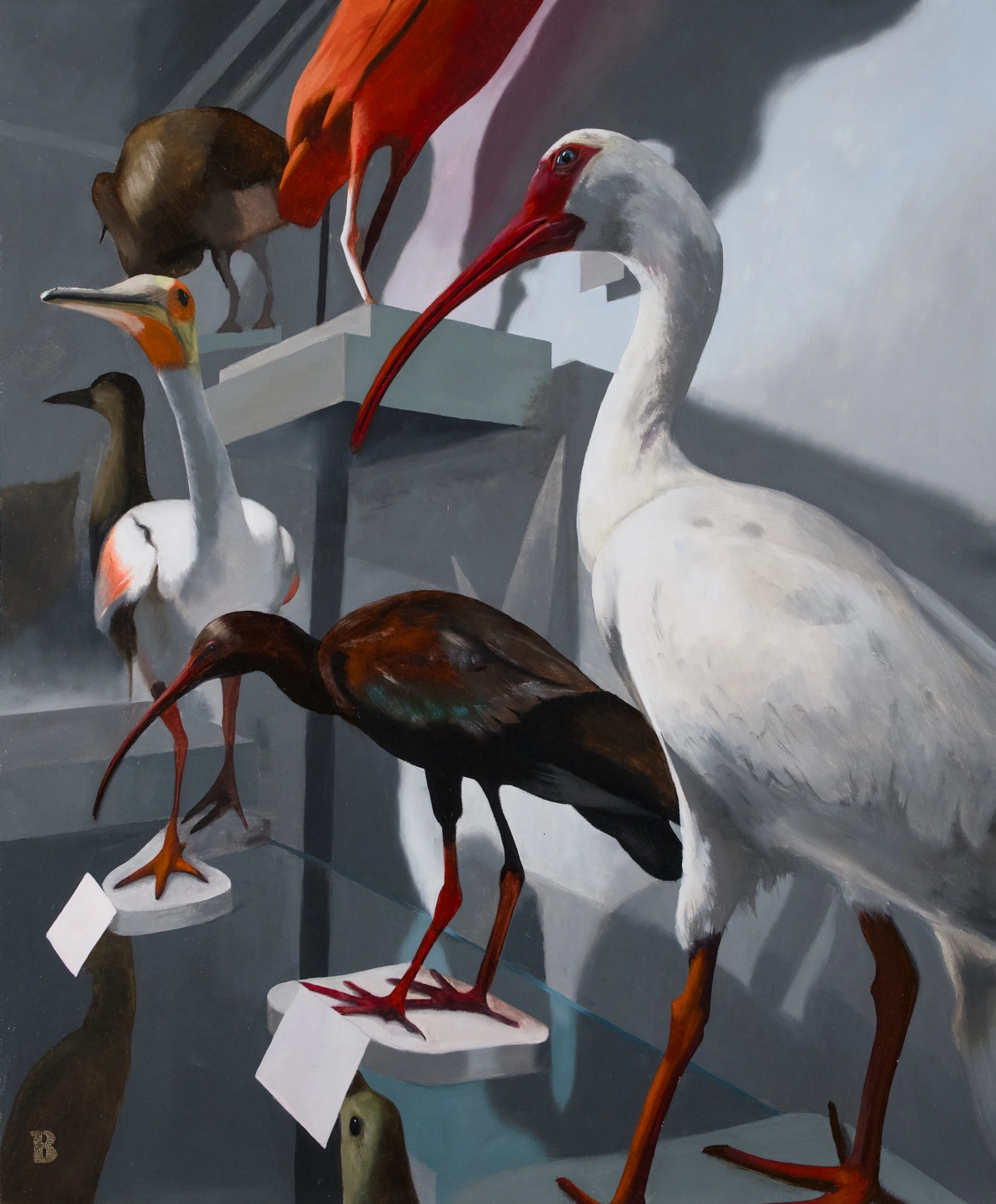 Ibises, 24 x 20