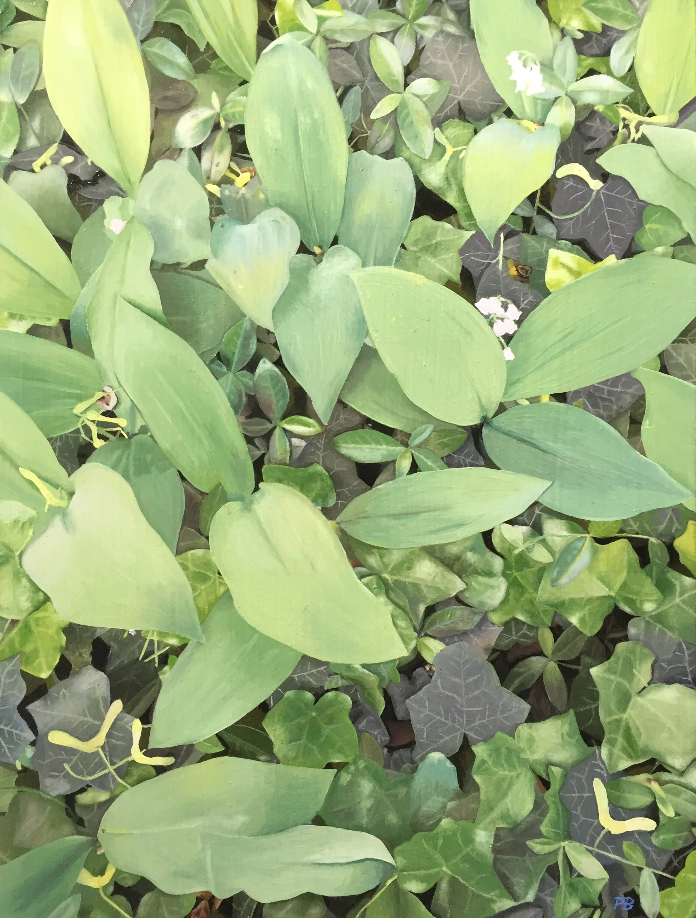 Ground Cover, 12 x 9