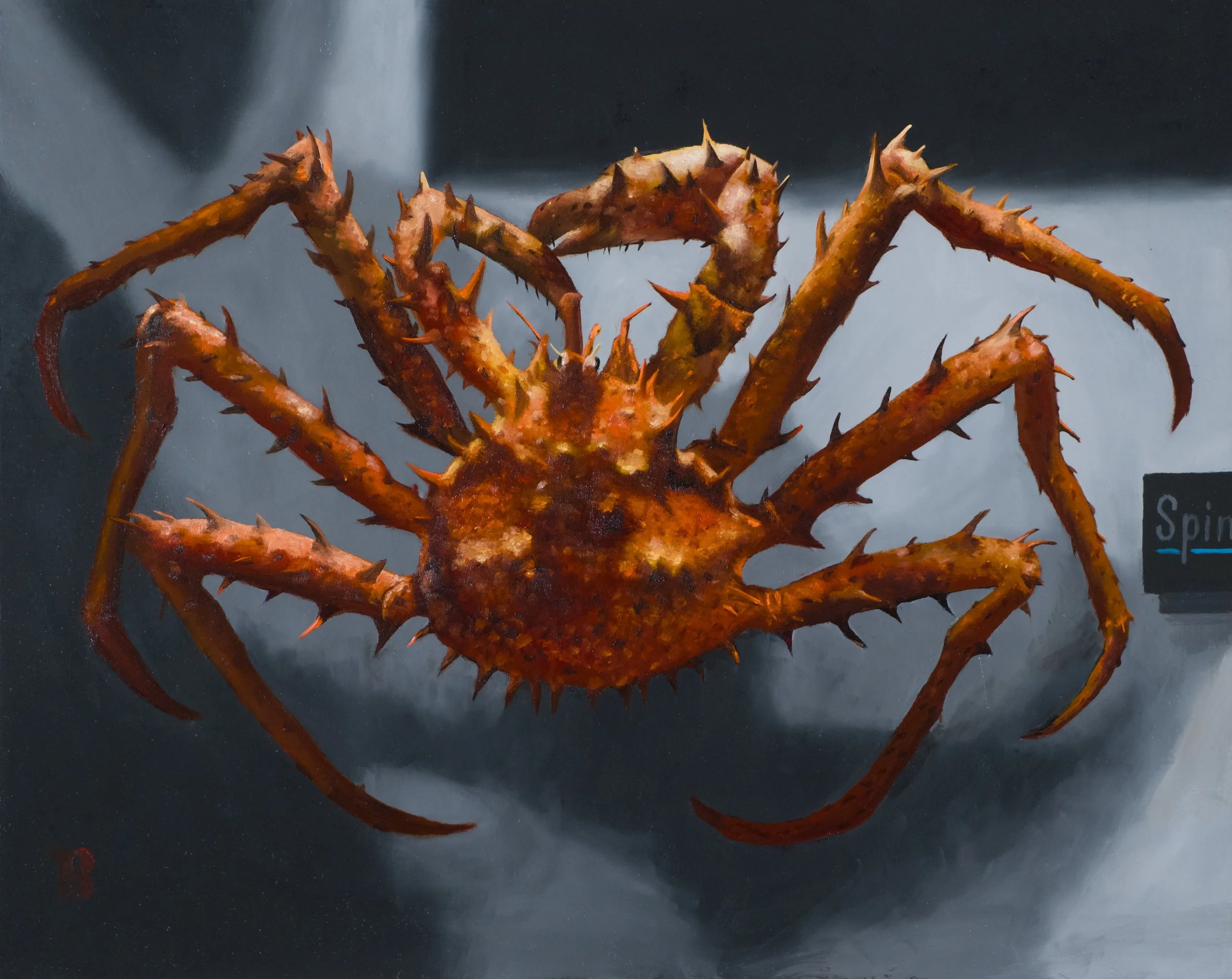 LITHOES lithodidae, 12 x 15