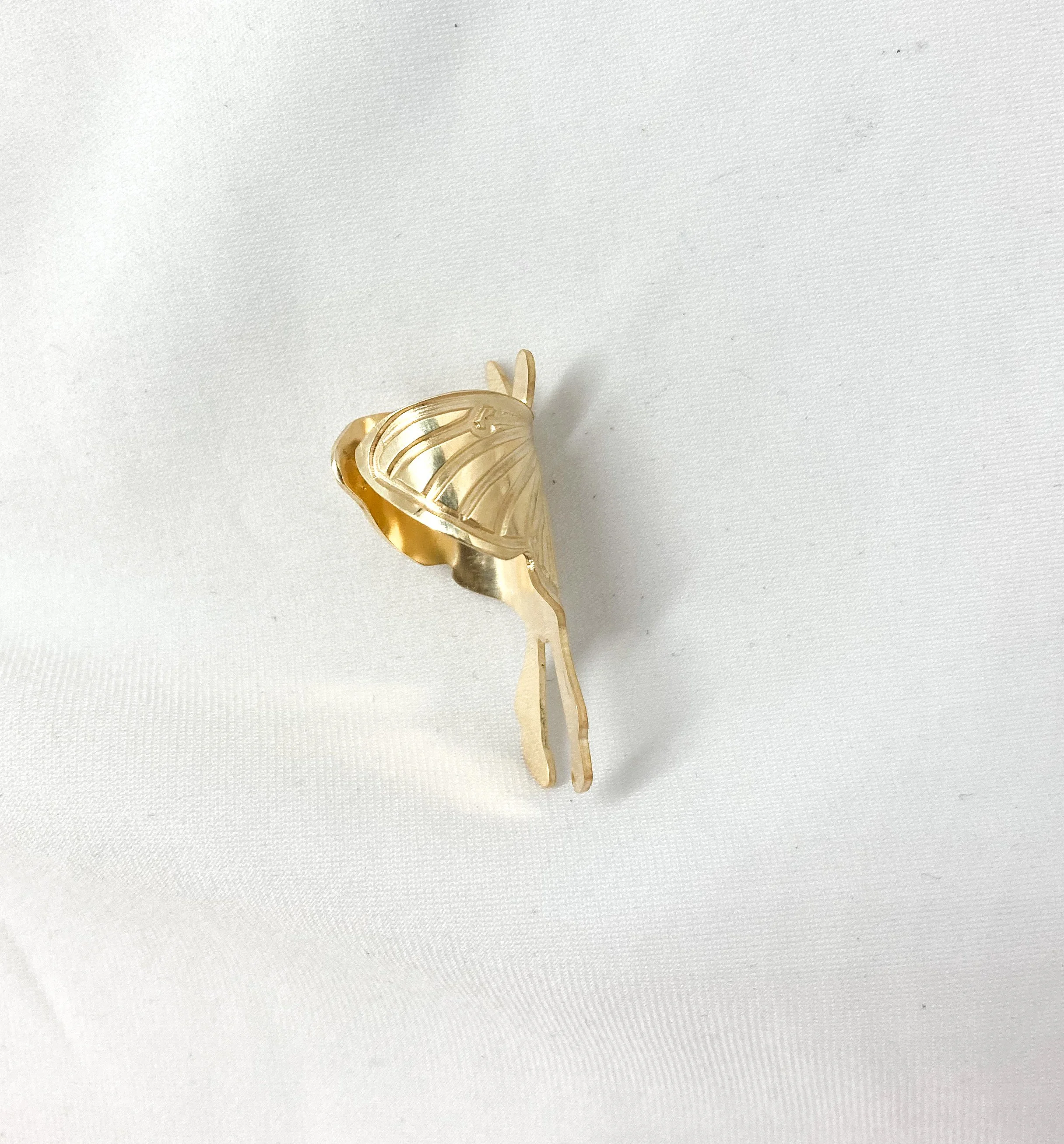 Moth Side View