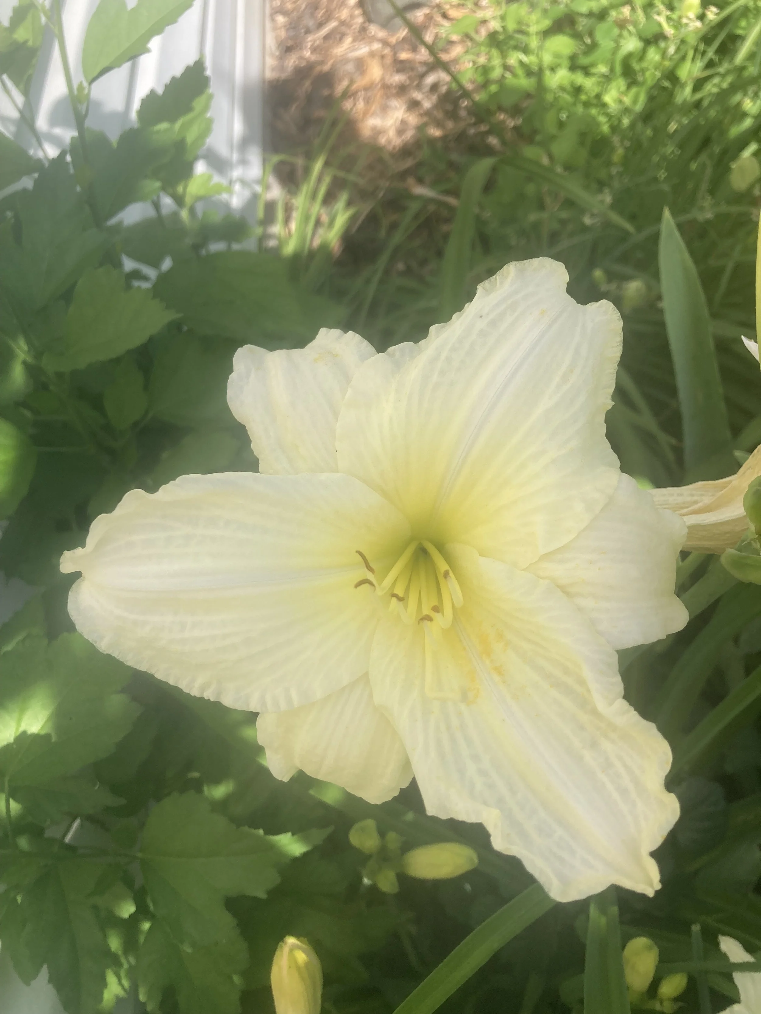 IMG_0789.jpeg