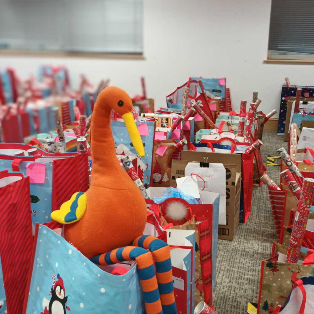 Helping Santa Stork deliver presents