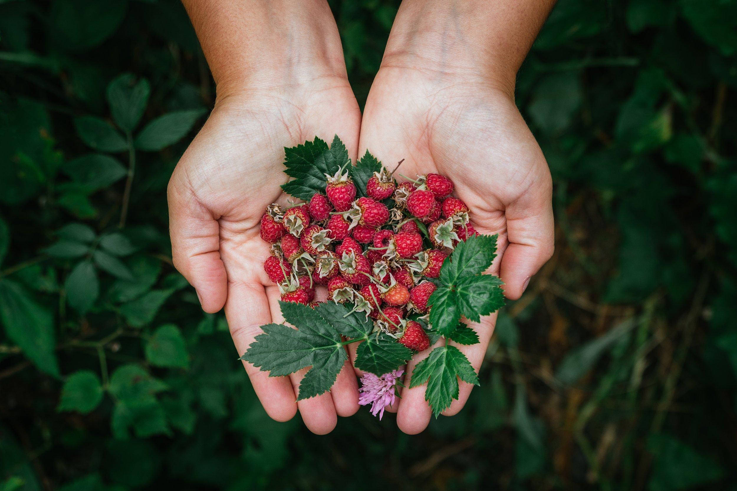 Fresh berries