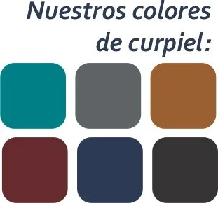curpiel-color.jpg