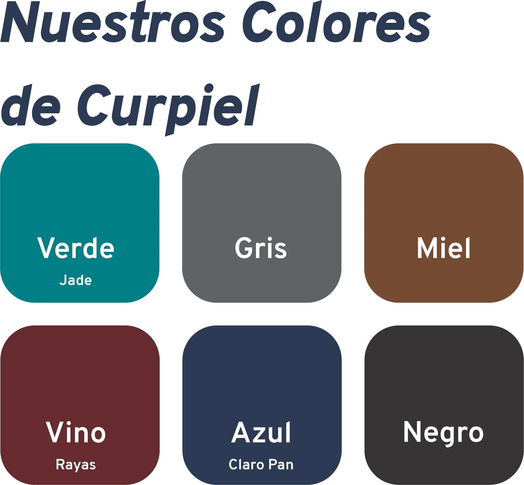 curpiel-color.jpg