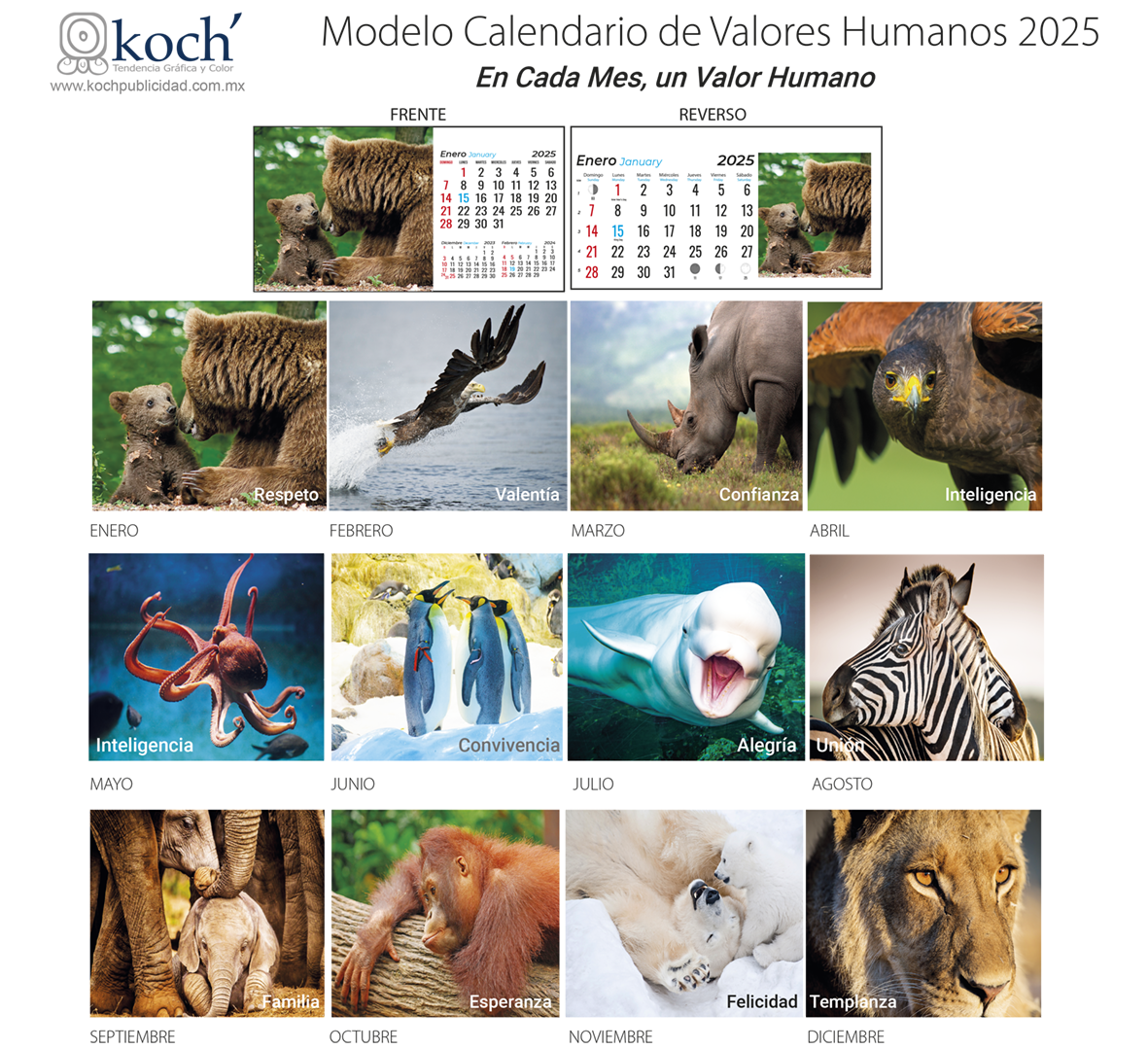 modelo valores humanos.png