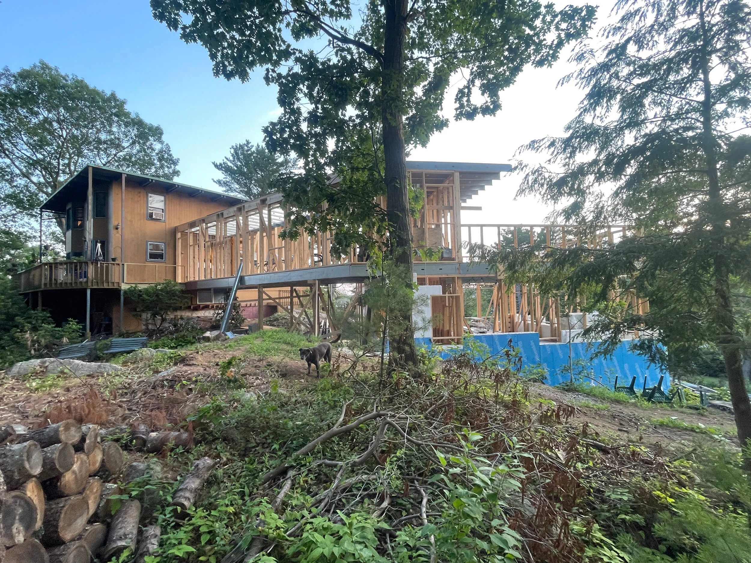 OFA-tims house-IMG_6194.jpg