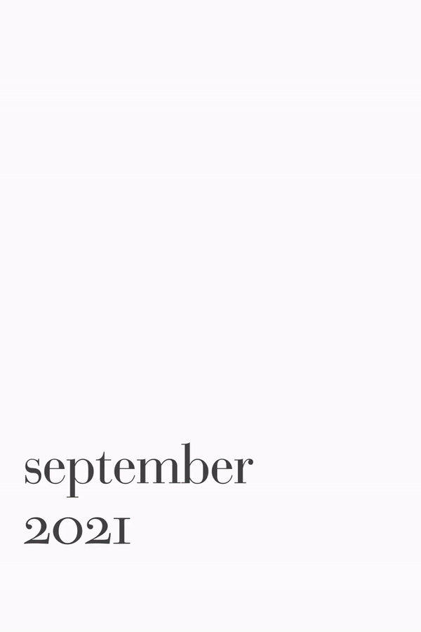 Slide_02-resized.gif