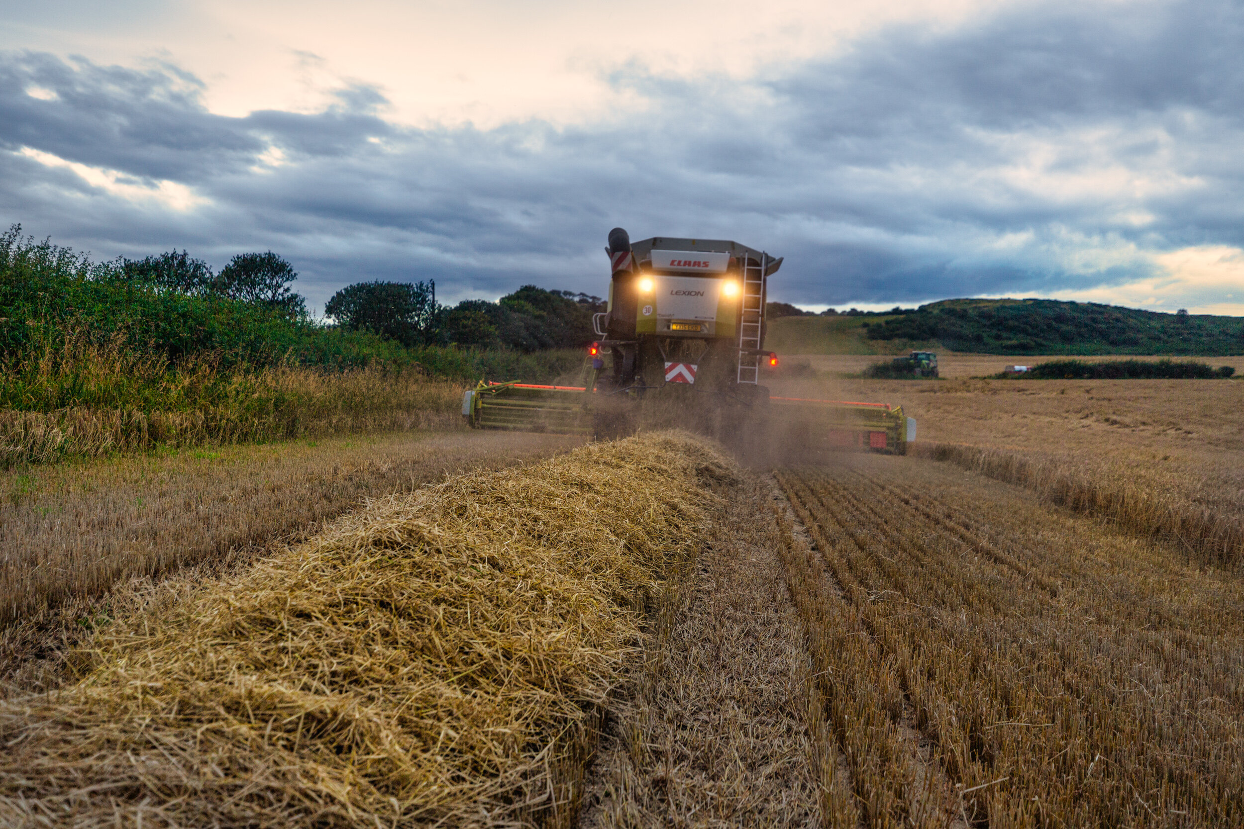 ReverseHarvester-.jpg