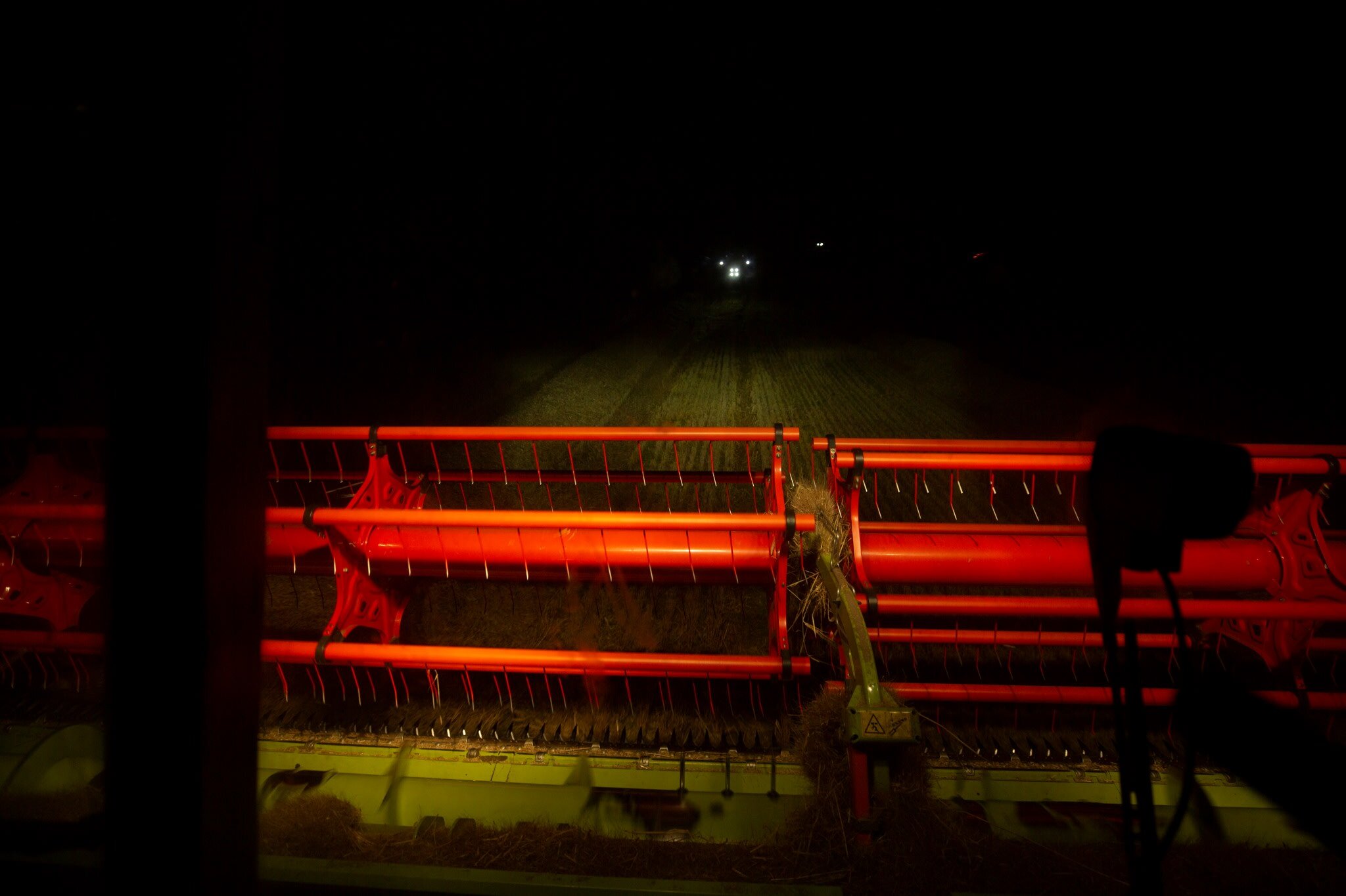 NIGHTHARVEST-0318_web.jpeg