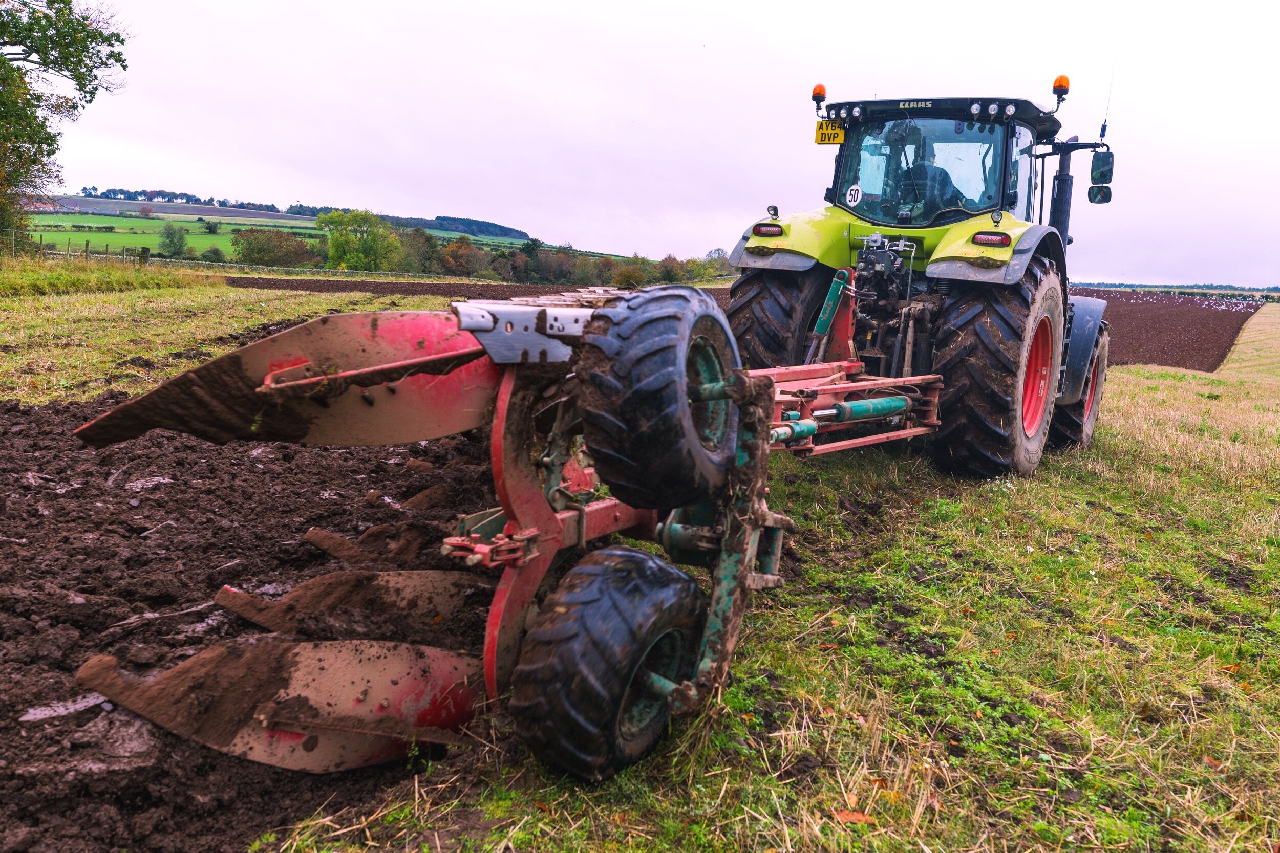 Plough3Reverse-1594.jpg