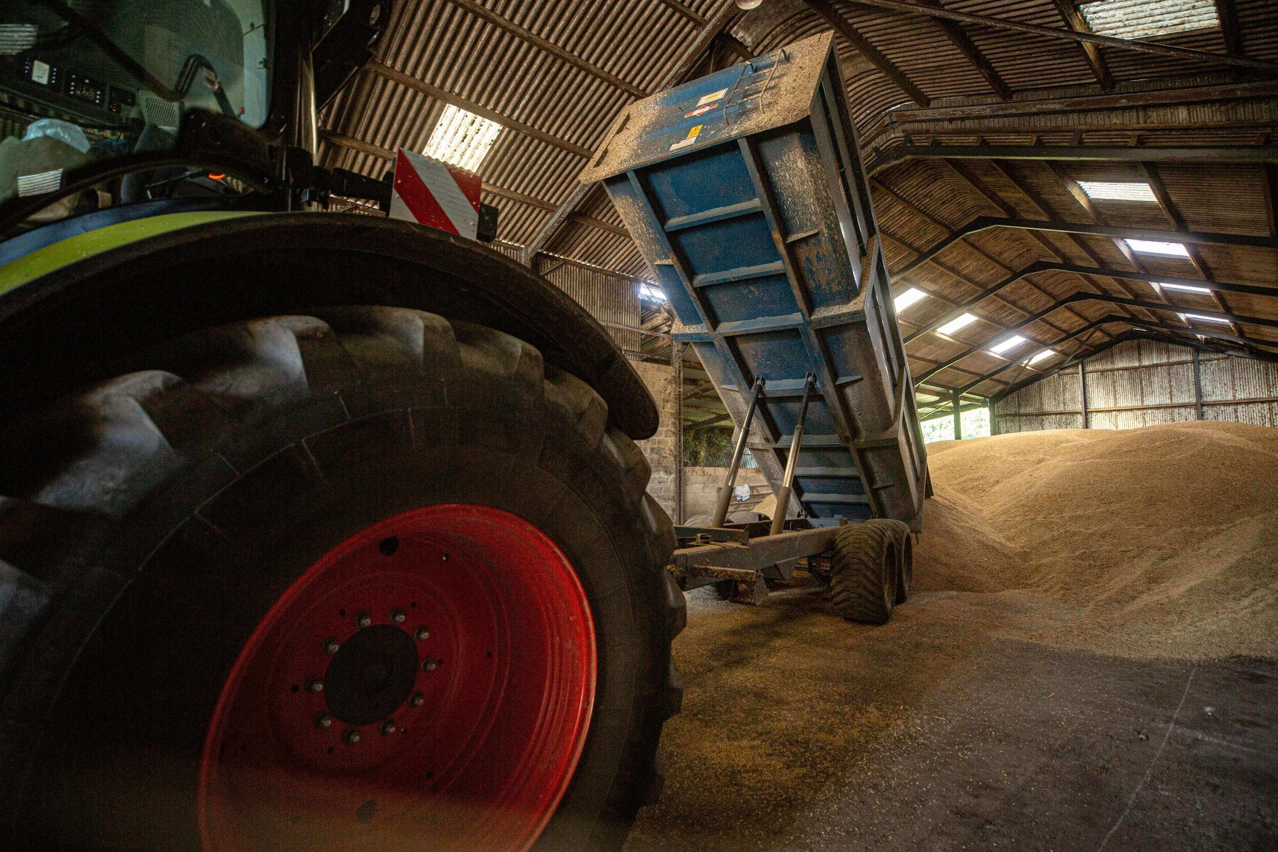 Grain--10 copy.jpg