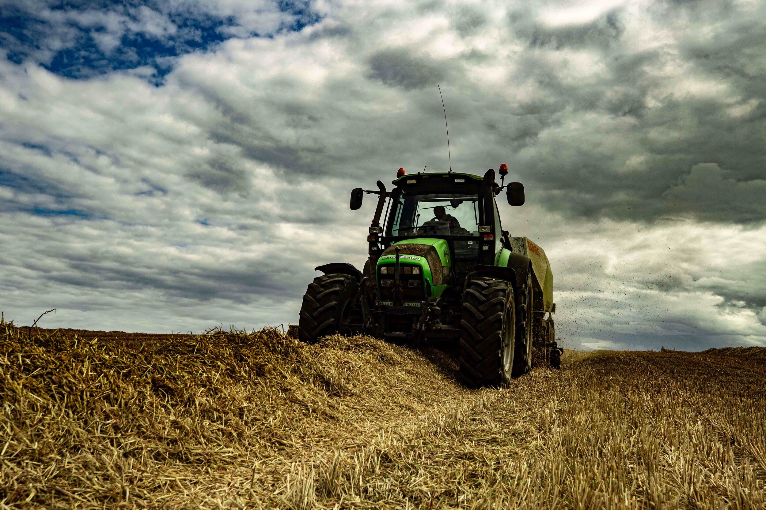 Straw -5380_2.jpg