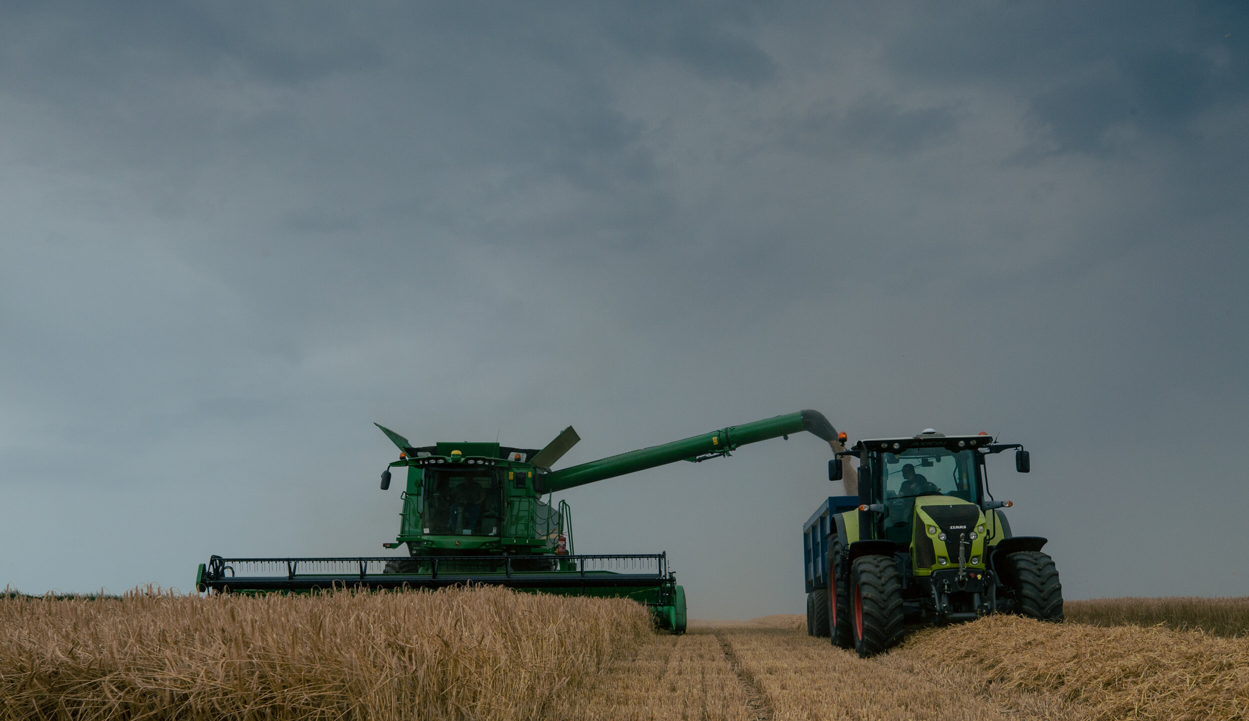 NewHarvest-4844.jpg
