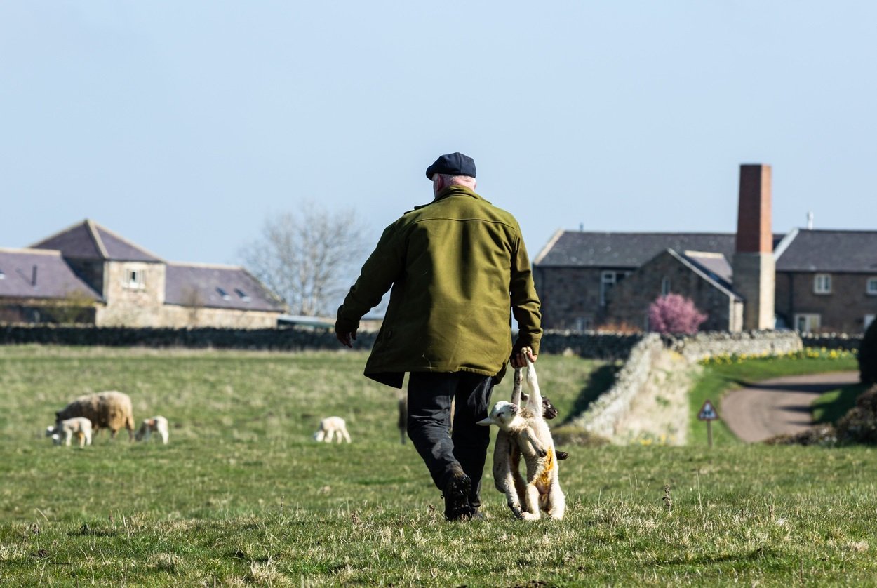 OutintheField04-04-8.jpg