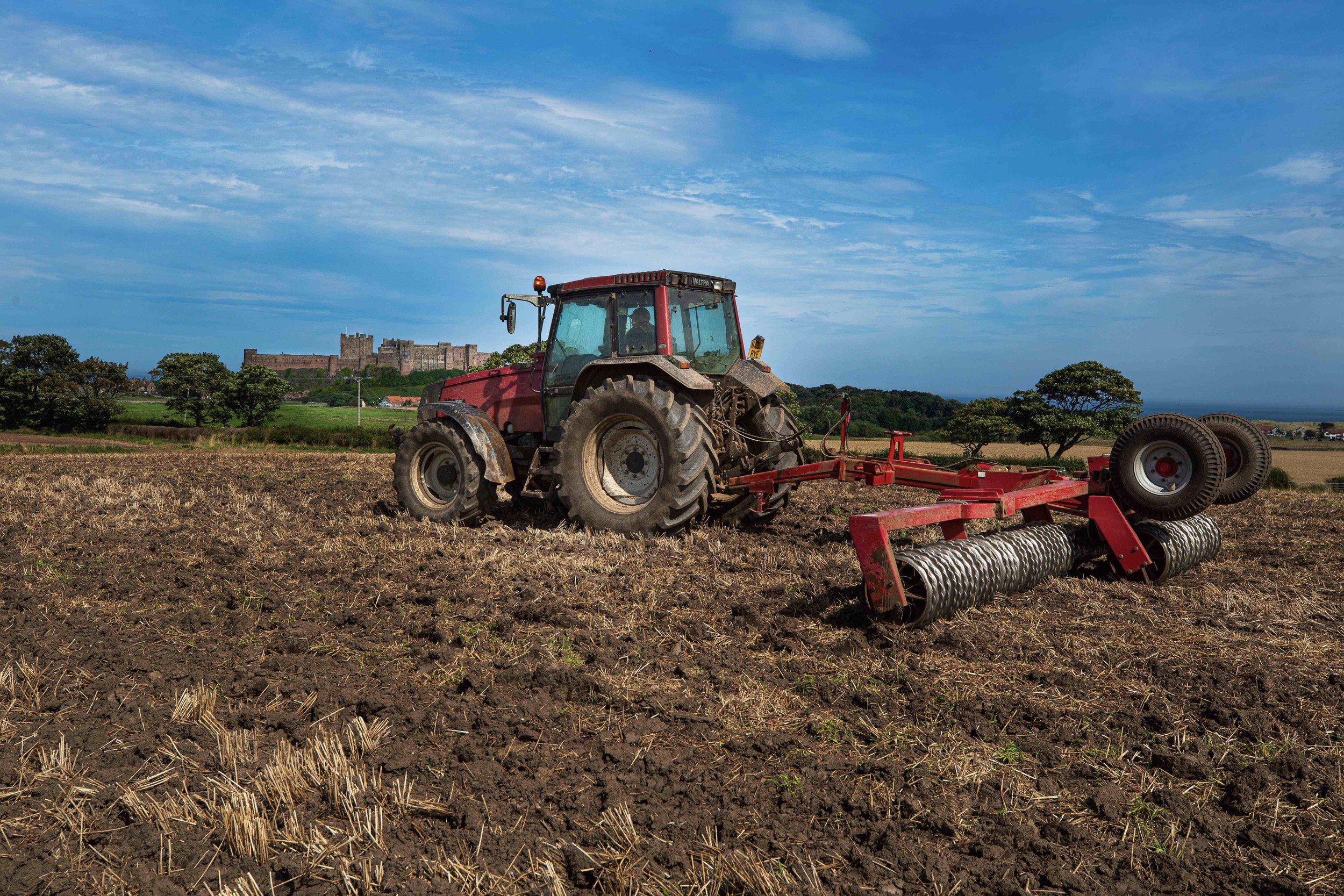 Ploughstubble-SqLR copy.jpg