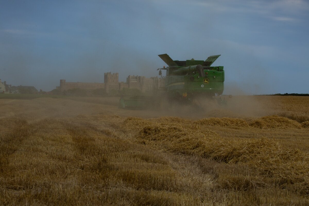 Thresher-4787.jpg