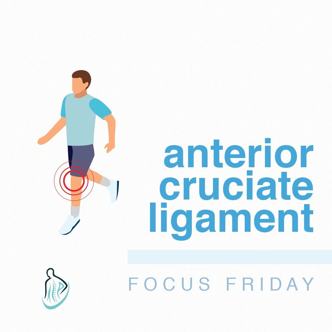 🎯 - Friday Focus

Anterior Cruciate Ligament.

The anterior cruciate ligament (ACL) is one of the four ligaments that make up the knee joint. It is prone to injury in many sports that put stress on the knee, which can tear the ligament.

Many people