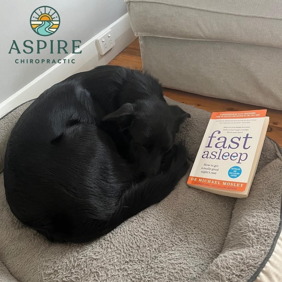 It&rsquo;s been a while&hellip;.after a busy few months, we are back on the book club! This month we are reading Fast Asleep by Dr Michael Mosley. 

Do you want to sleep as well as Archie does?? 

Ask us for some tips! There&rsquo;s so much to learn 