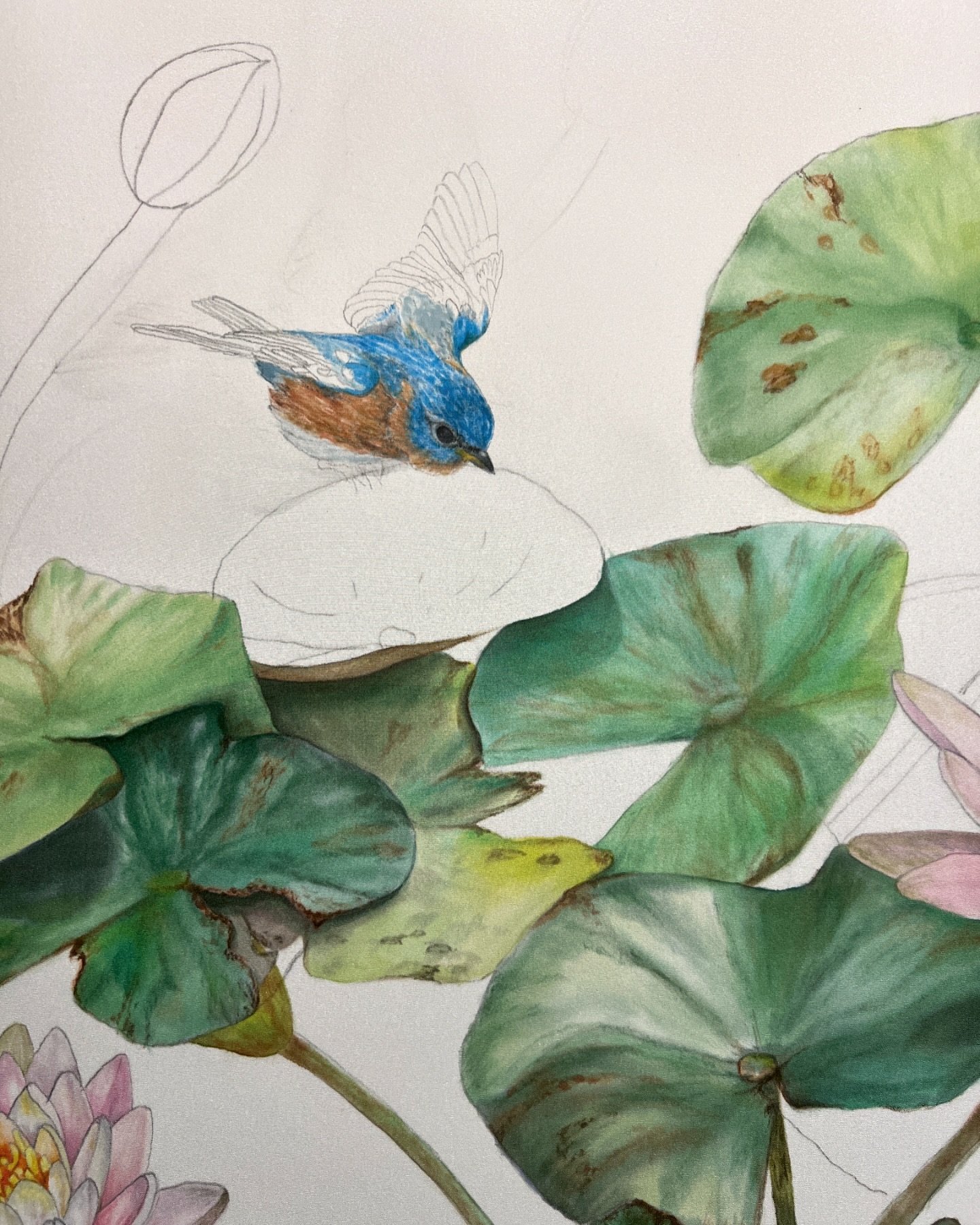 &ldquo;Hope&rdquo; is the thing with feathers 
That perches in the soul 
And sings the tune without the words 
And never stops - at all 
~Emily Dickinson

#silkpainting #wip #austinartist #bluebird #hope #silkart #silkpaintinginprogress #ontheeasel #