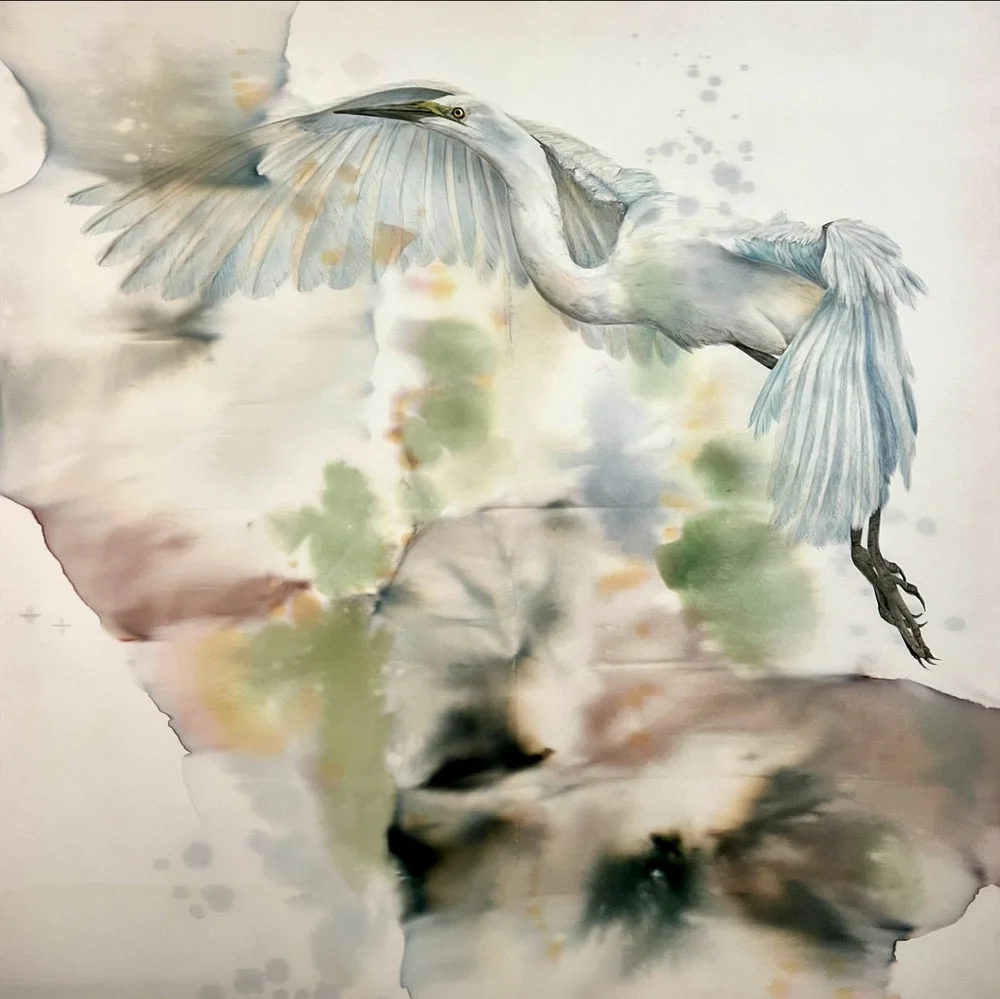 I just got word my silk painting, &ldquo;Flight of Grace&rdquo; earned First Place in the category of 2D Representational artworks in
Art Hop 2024, a state-wide juried competition in Georgetown, TX. 

This makes three major awards in three weeks! 😱 